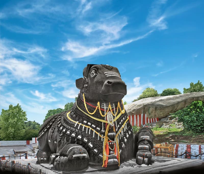 Bull Temple (Dodda Basavana Gudi)
