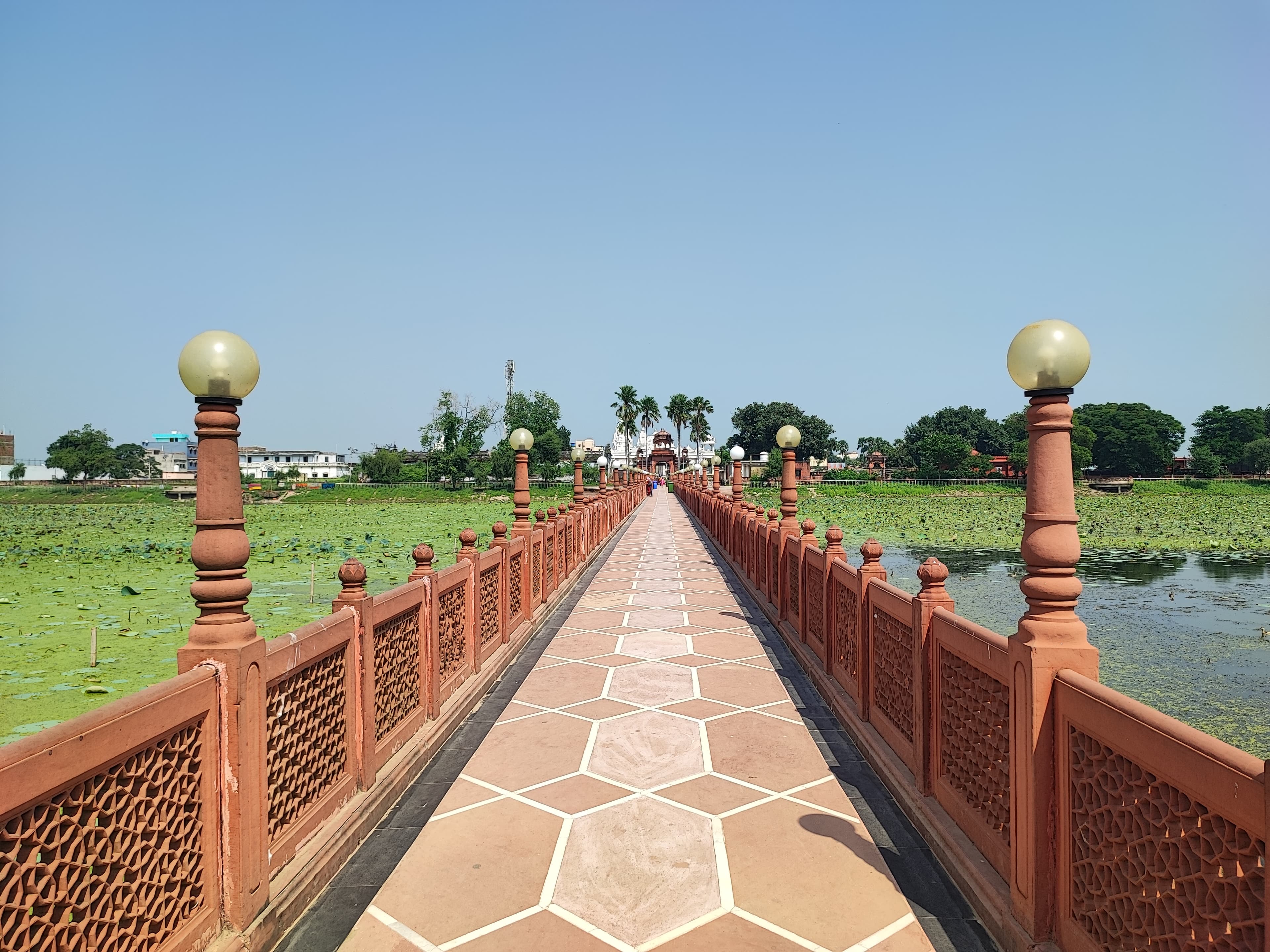 Preserve Jal Mandir Pawapuri Heritage Site - Image 2
