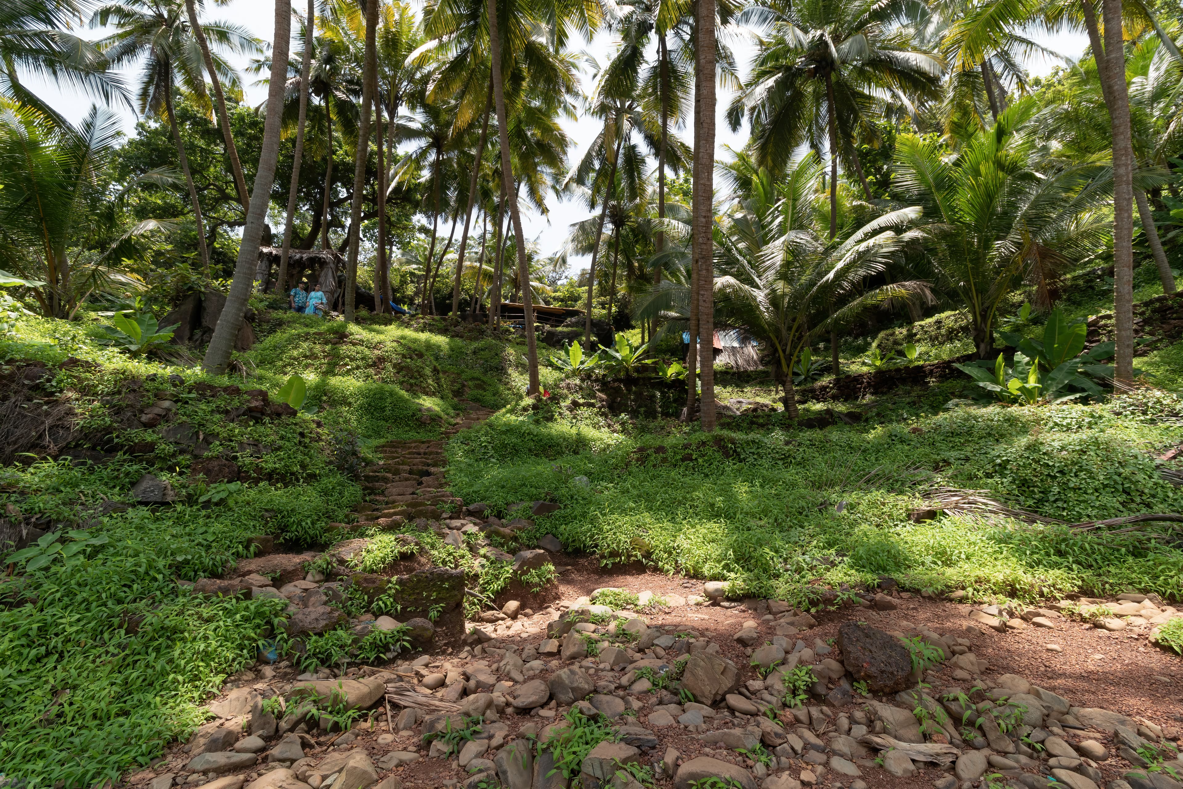 Help preserve Cabo de Rama Fort Canacona