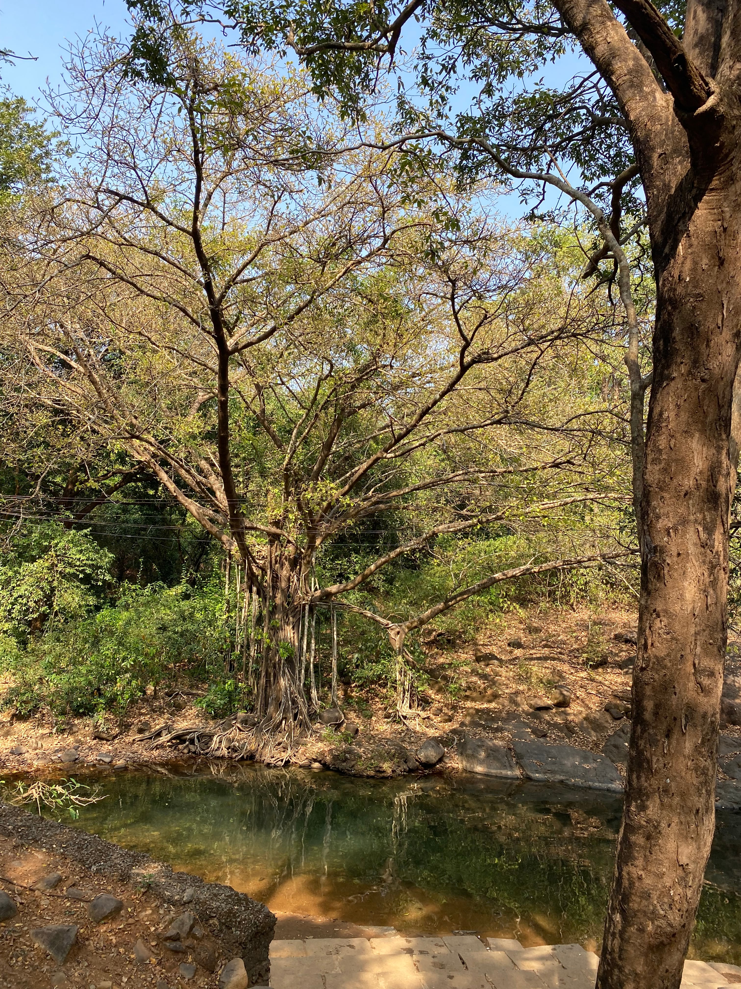 Mahadeva Temple Tambdi Surla Goa - Image 8
