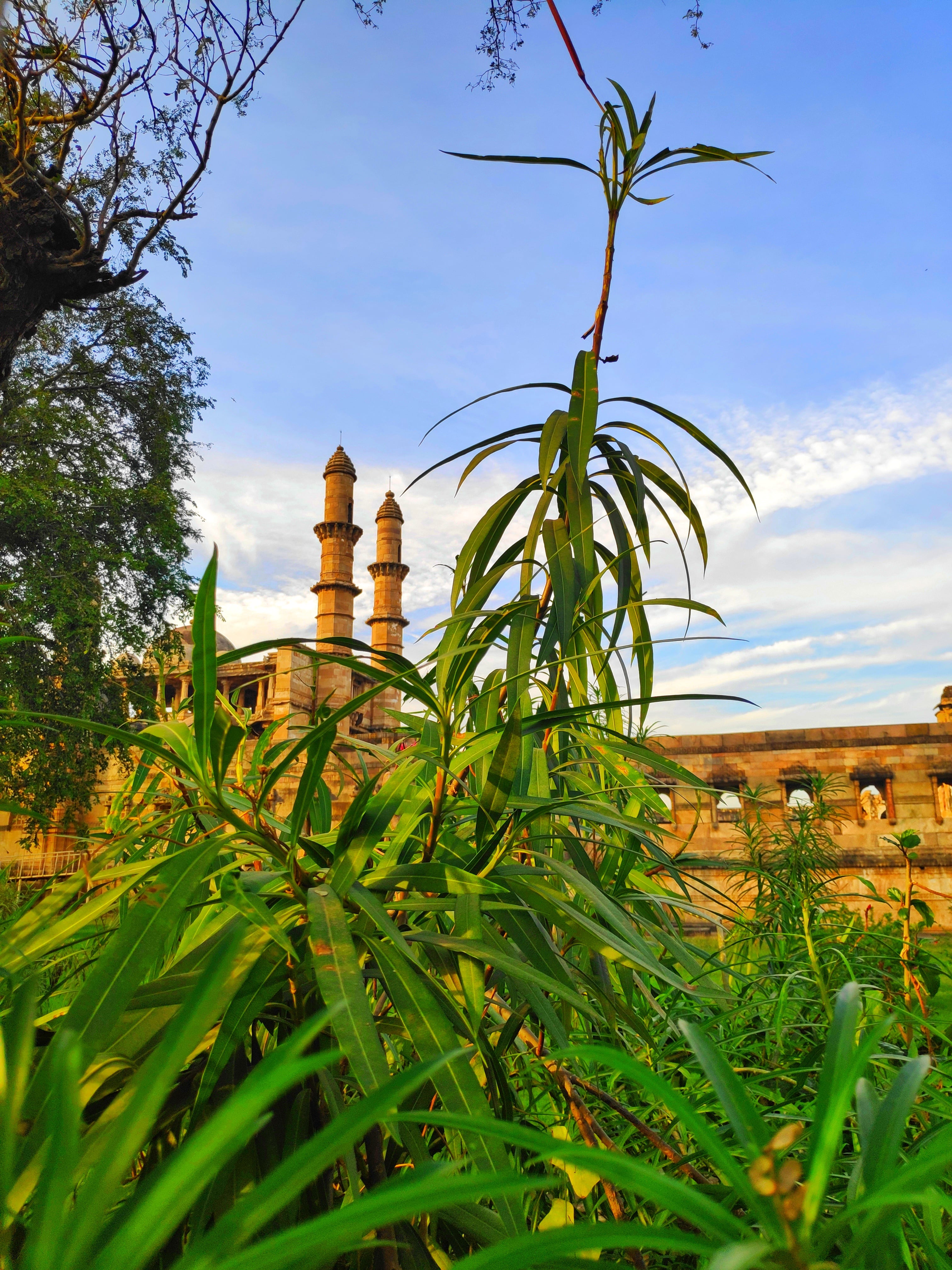 Pavagadh Fort Champaner - Image 8