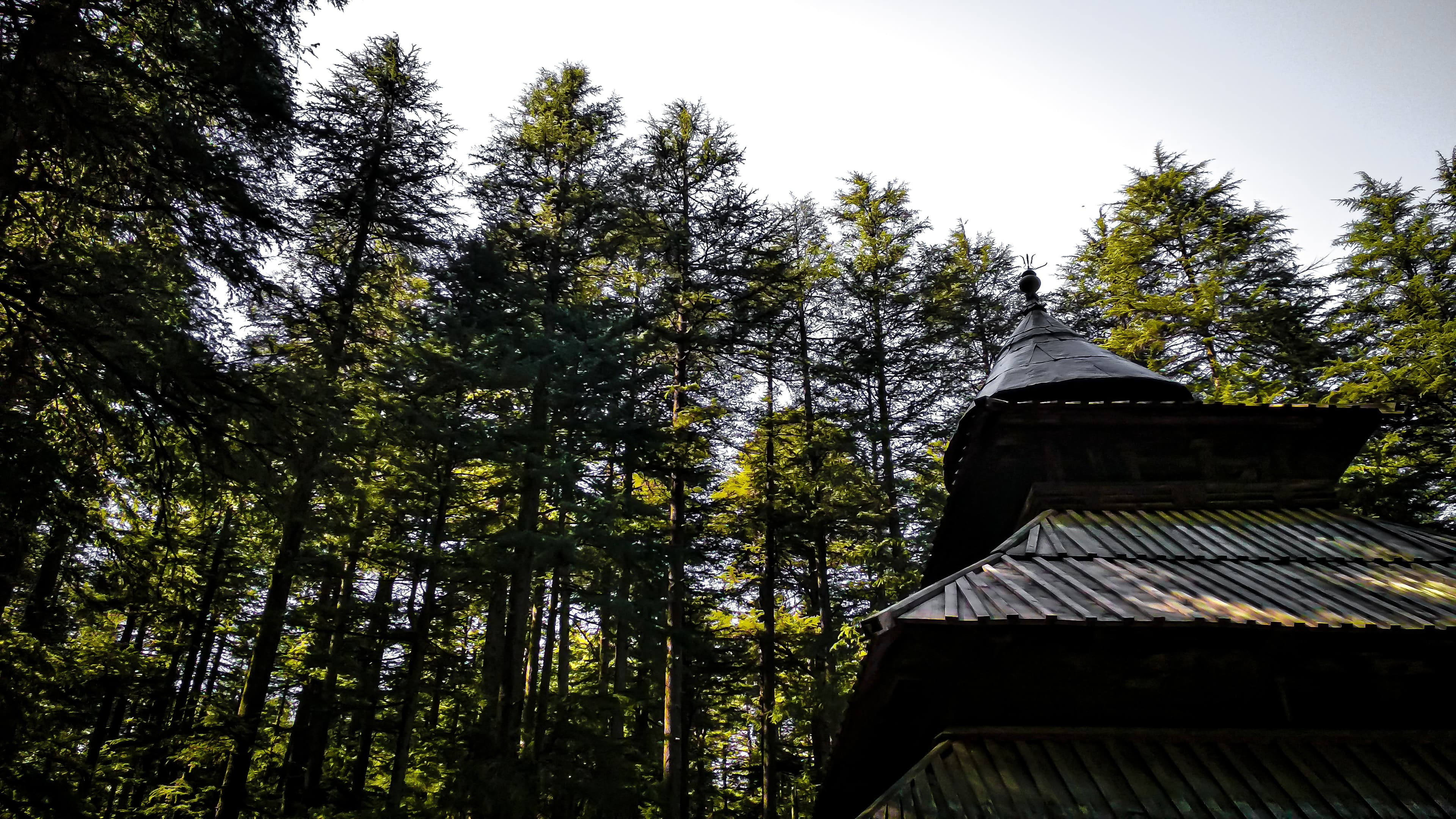 Hidimba Devi Temple Manali