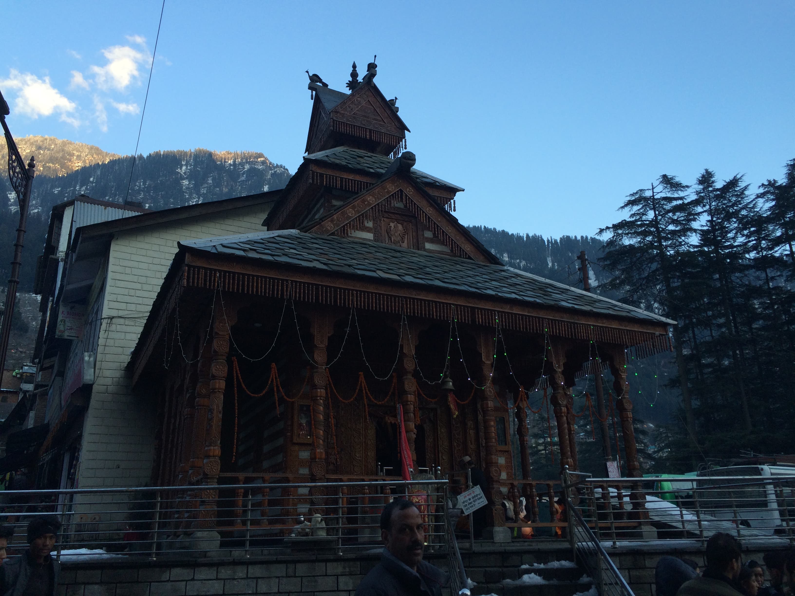 Preserve Hidimba Devi Temple Manali Heritage Site - Image 3