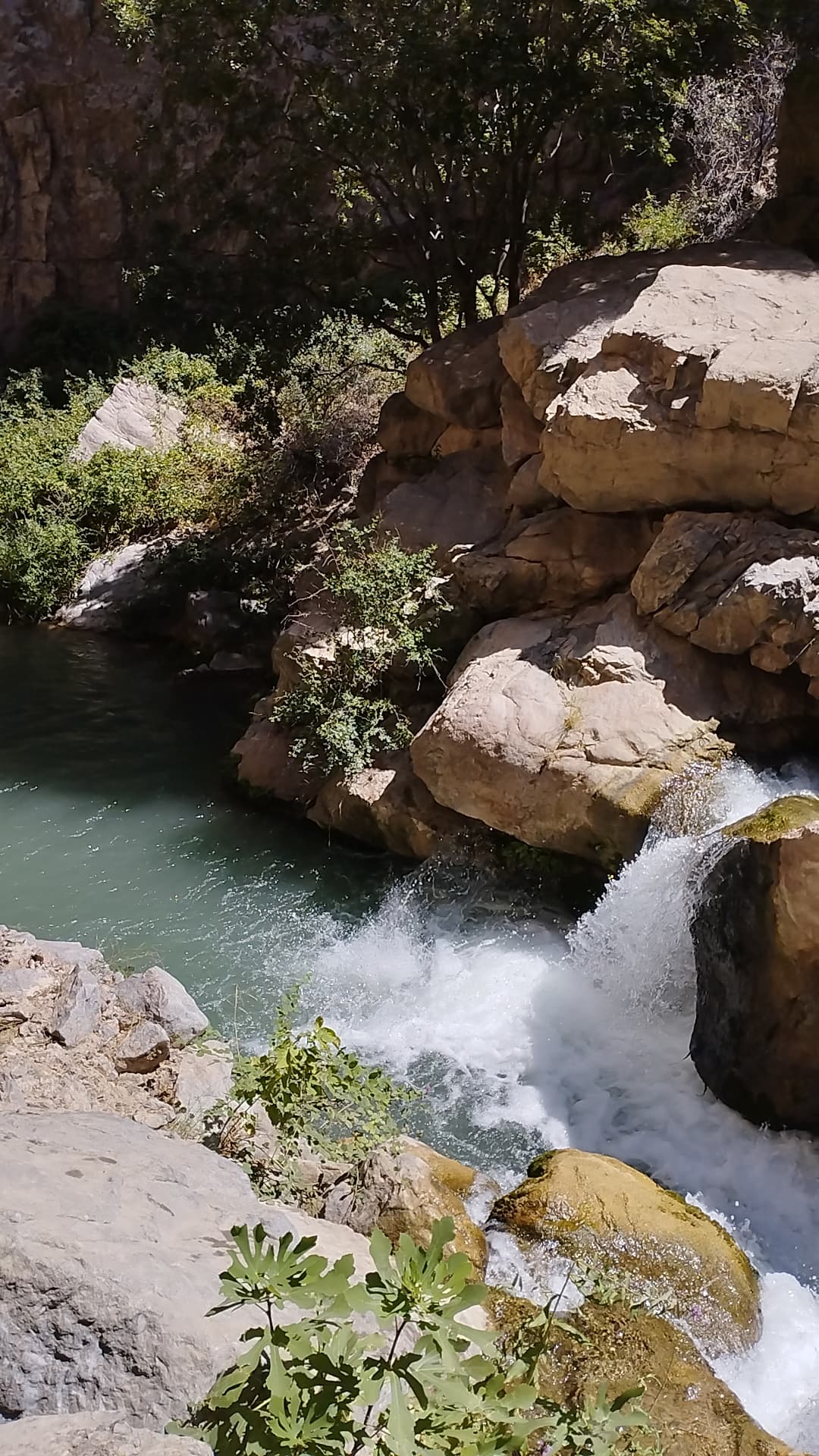 Volunteer at Geok Tepe Fortress Temple Complex Ahal Turkmenistan