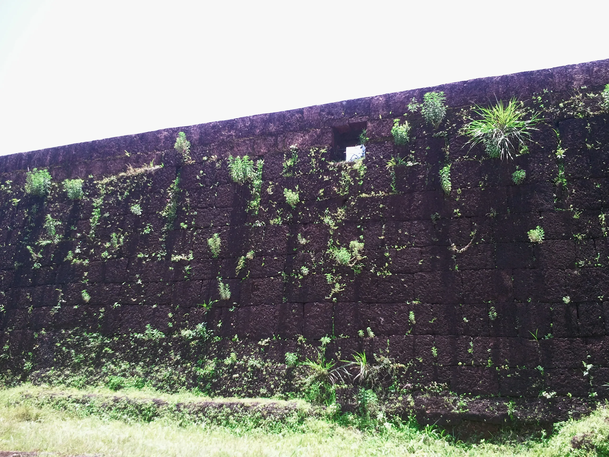 Chandragiri Fort Chittoor - Image 5