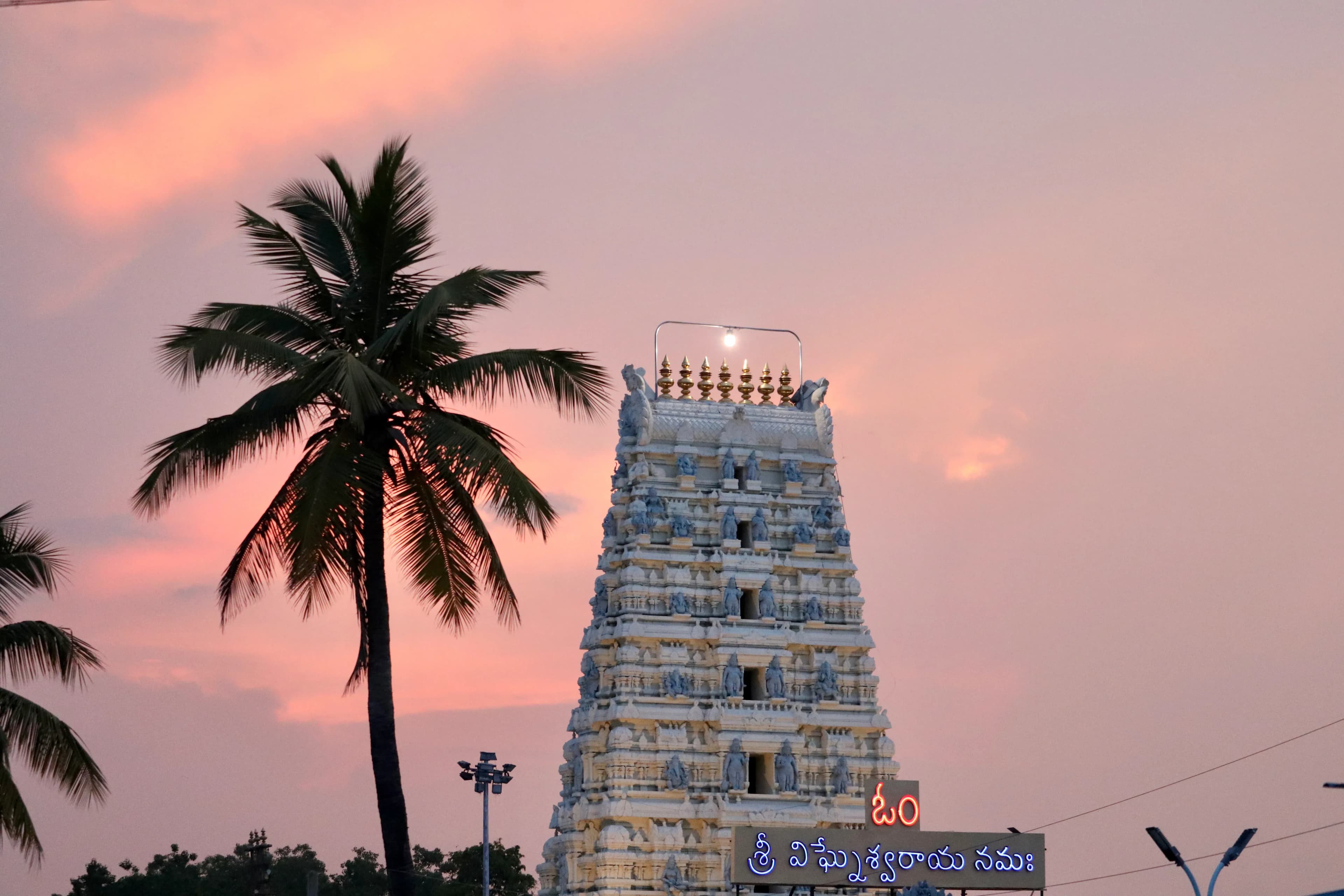 Help preserve Kanipakam Vinayaka Temple Chittoor