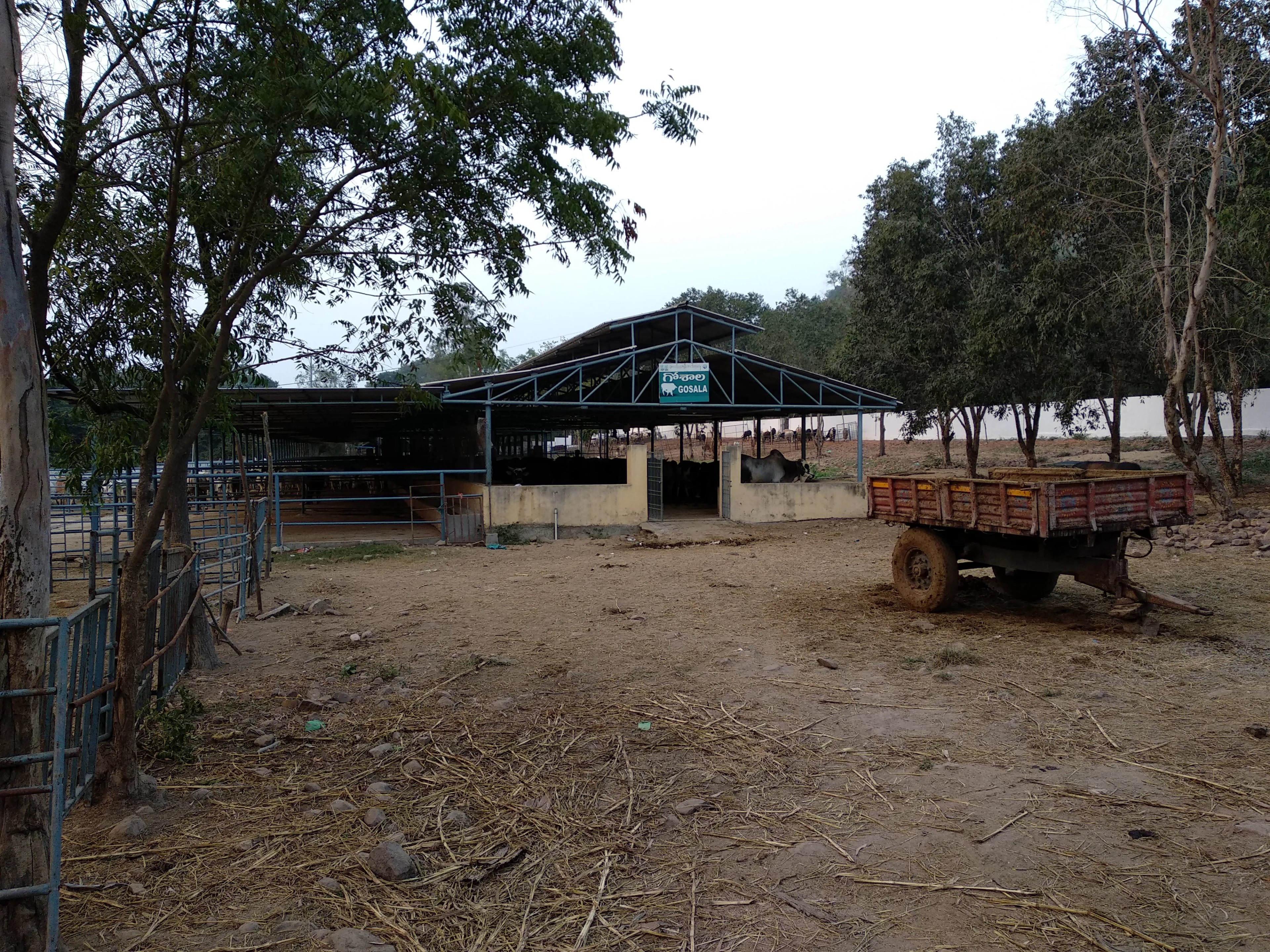 Srikalahasti Temple Srikalahasti - Image 8