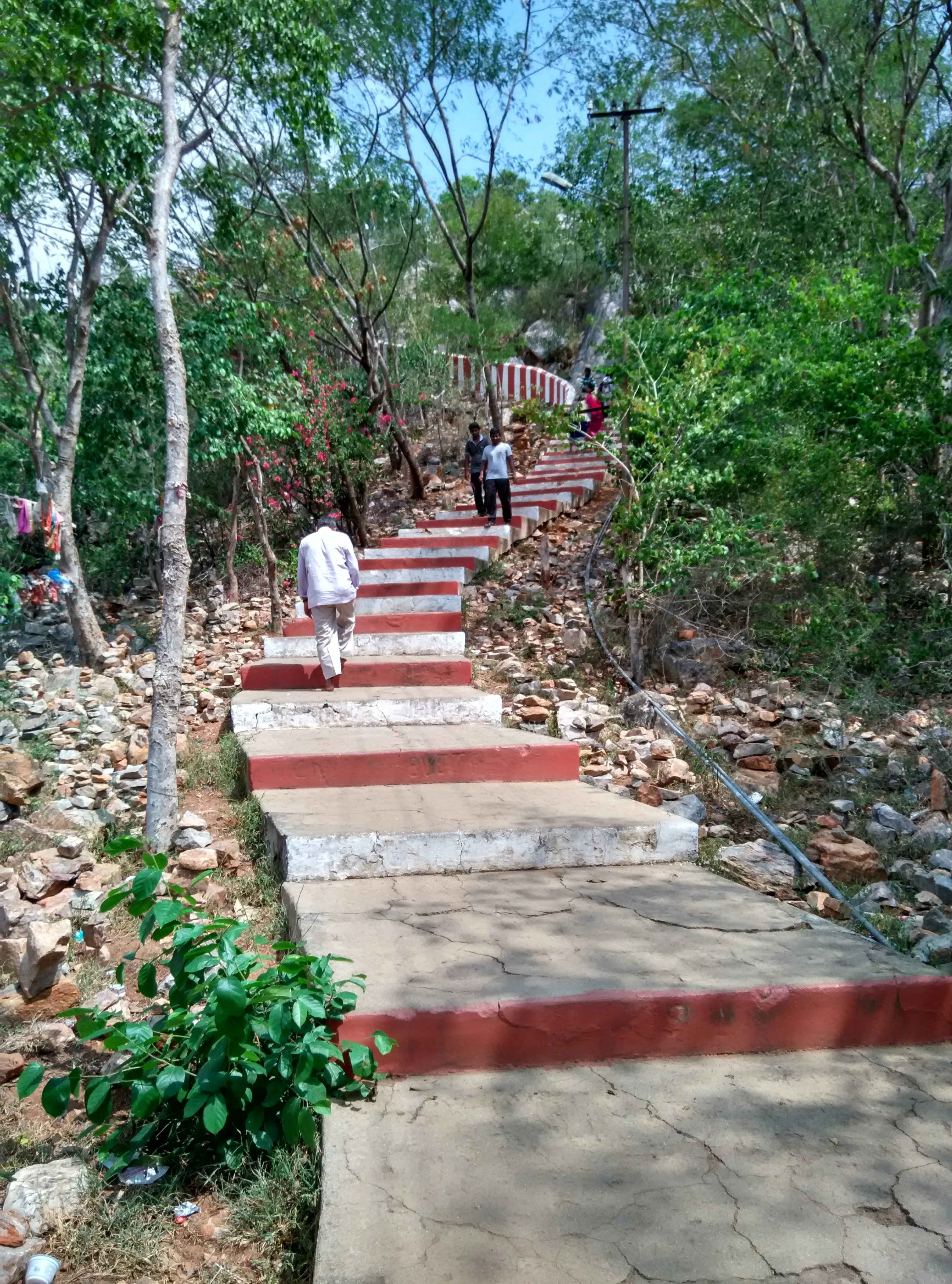 Srikalahasti Temple Srikalahasti - Image 9