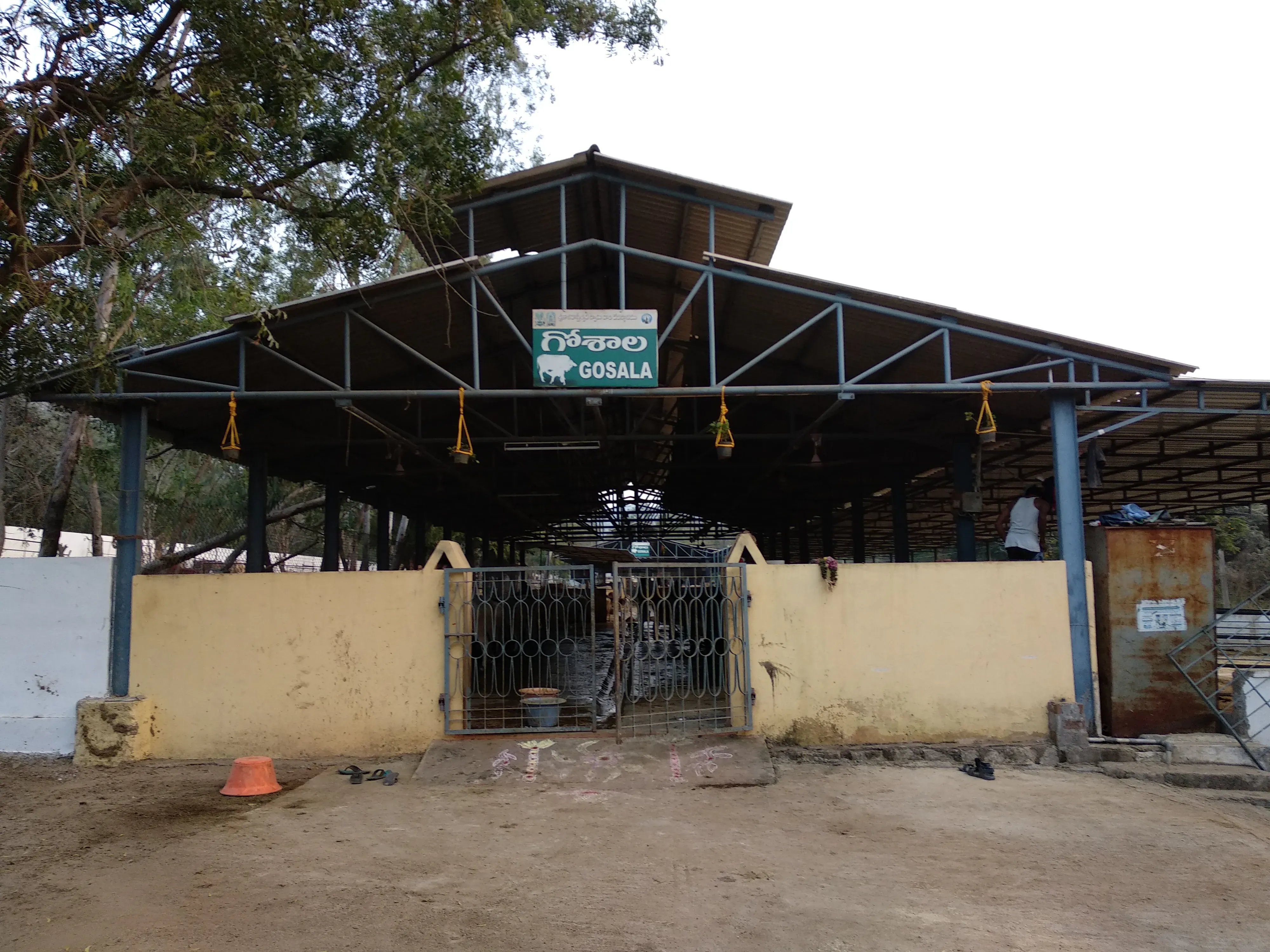 Srikalahasti Temple Srikalahasti - Image 10