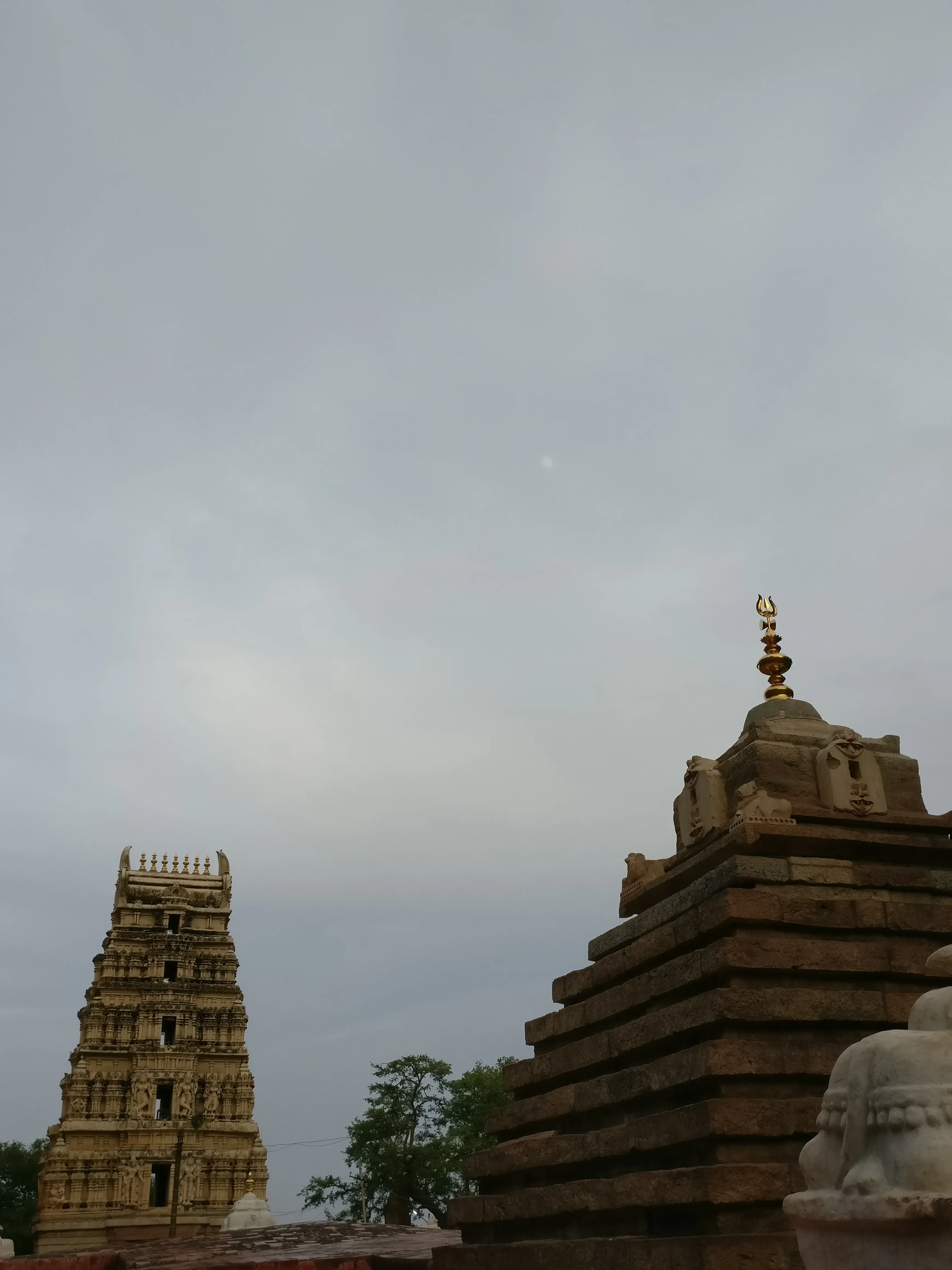 Preserve Yaganti Temple Kurnool Heritage Site - Image 3
