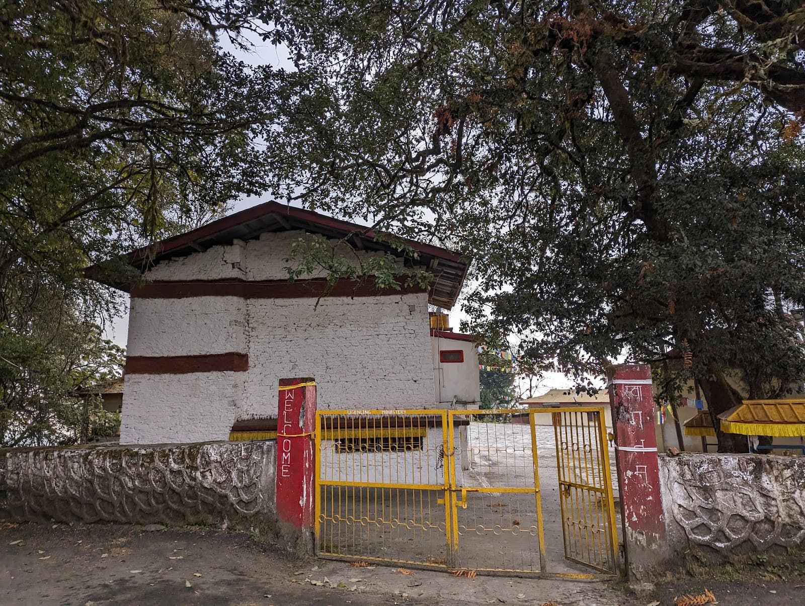 Volunteer at Urgelling Monastery Tawang