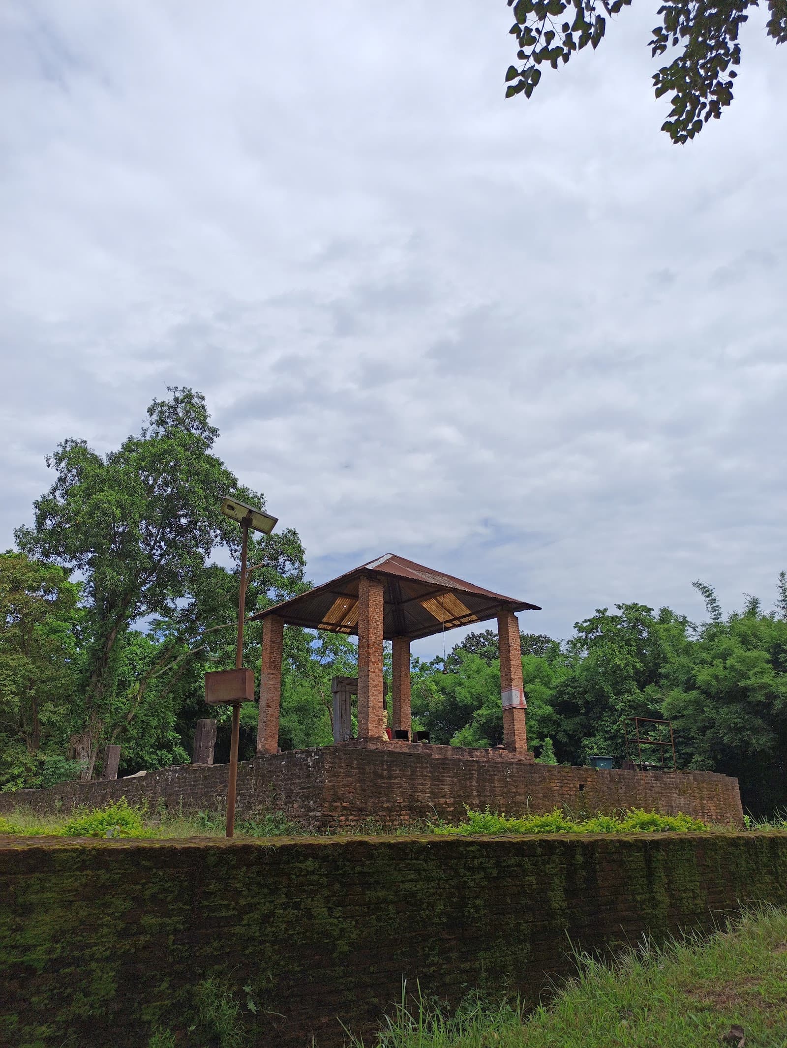 Volunteer at Dah Parvatiya Temple Ruins Tezpur