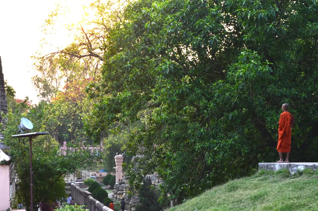 Preserve Mahabodhi Temple Bodh Gaya Heritage Site - Image 2