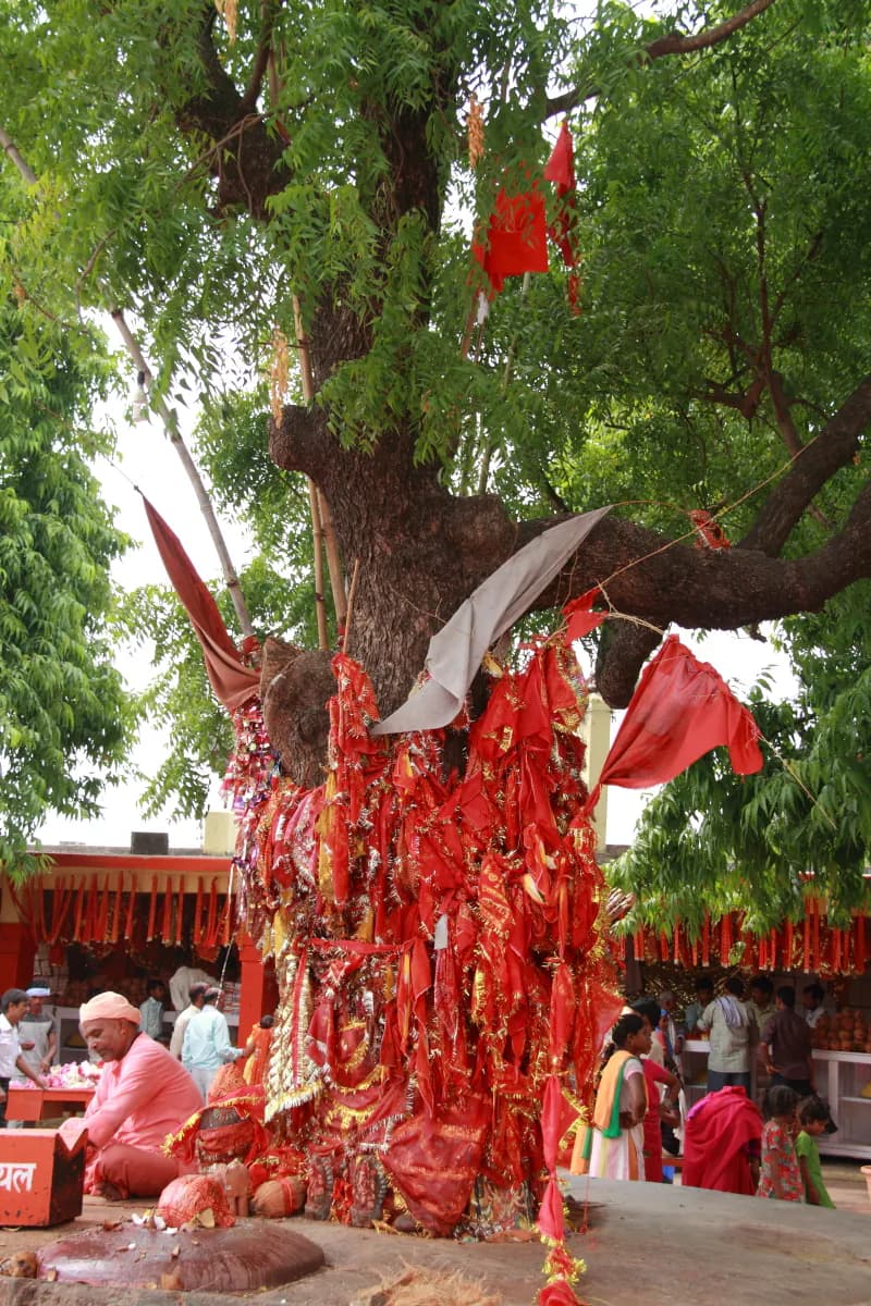 Patan Devi Temple Patna