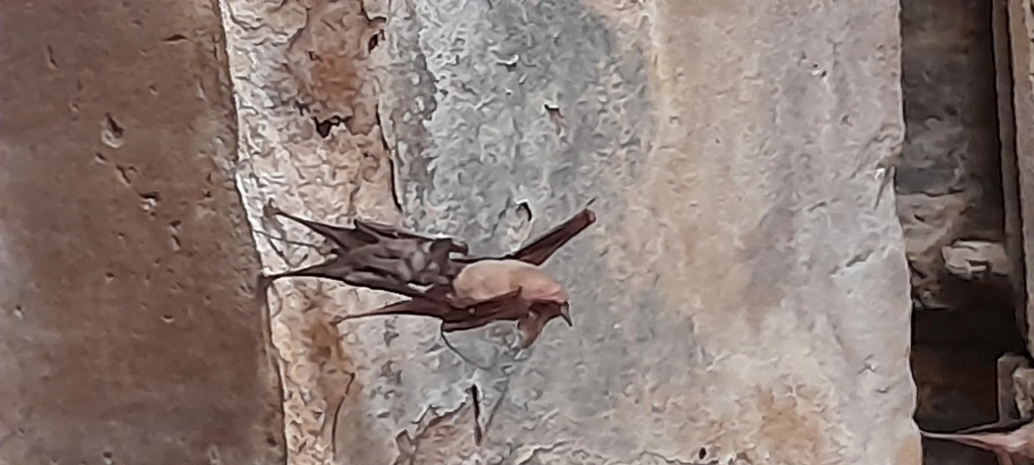 Help preserve Surya Mandir Deo