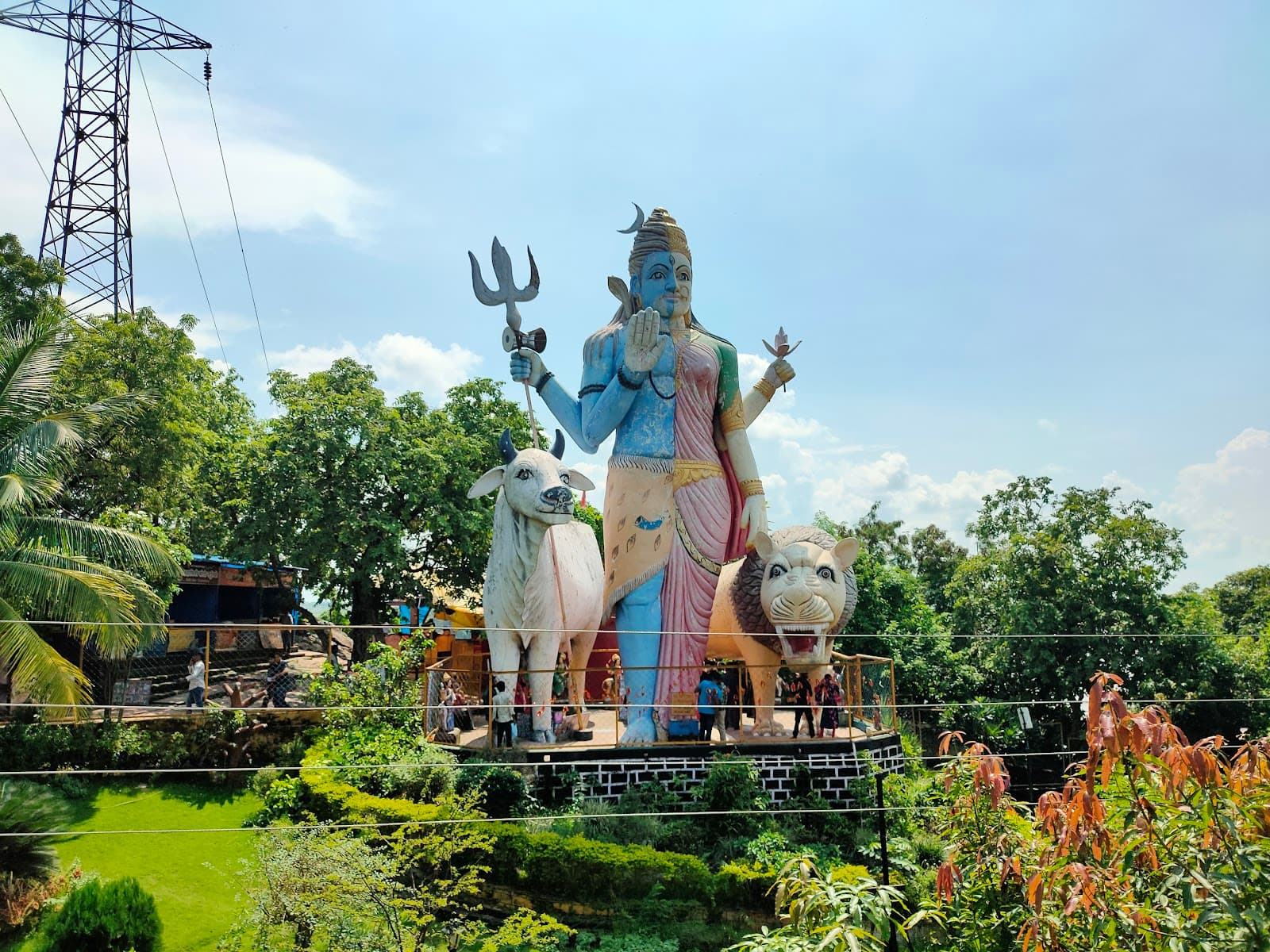 Volunteer at Chandrahasini Devi Temple Janjgir