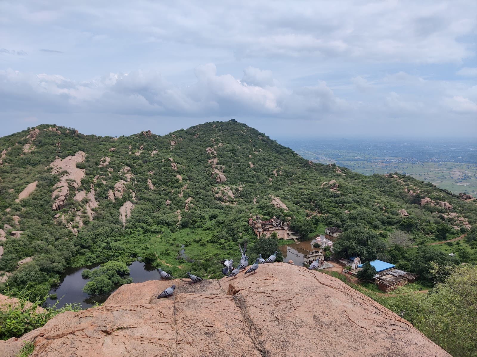Volunteer at Dhosi Hill Temples Narnaul