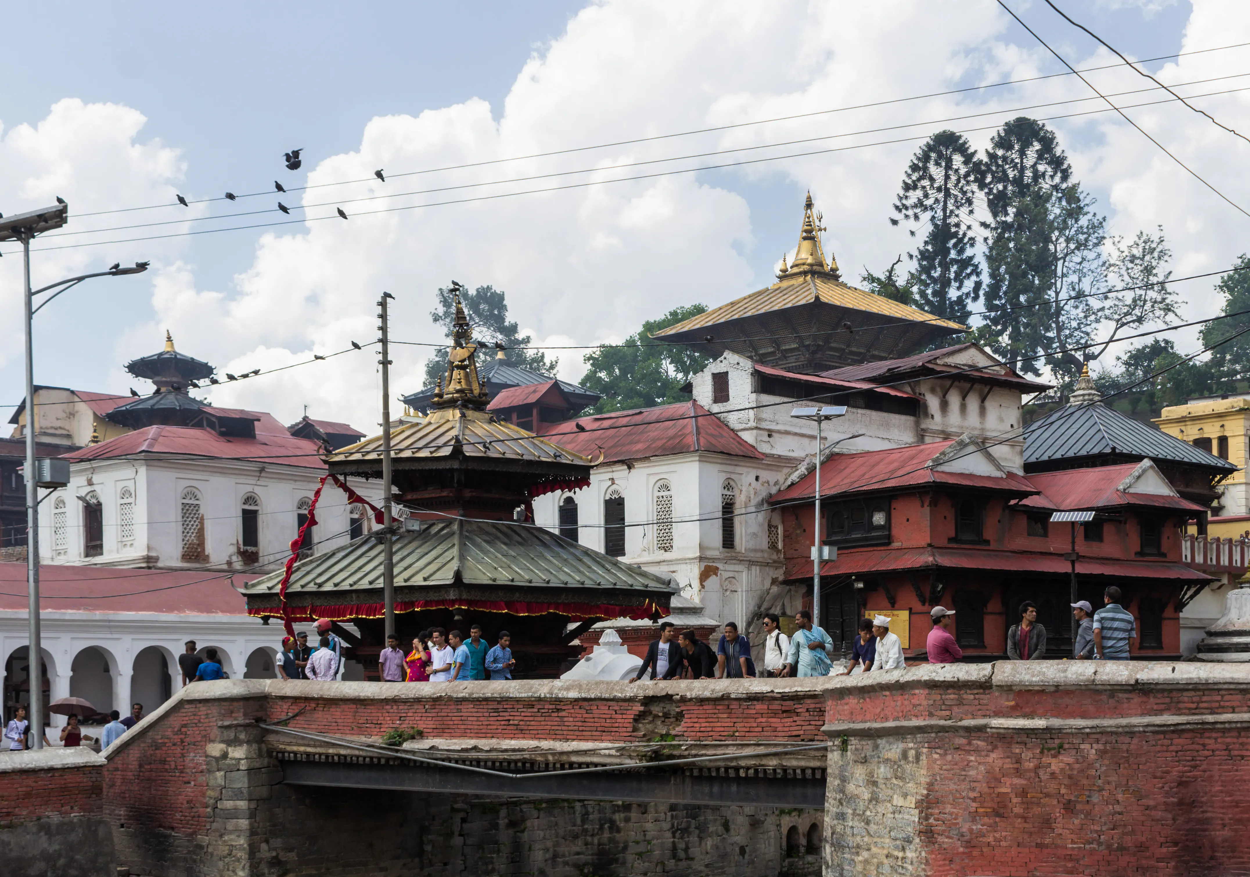 Pashupatinath Temple Kathmandu - Image 1