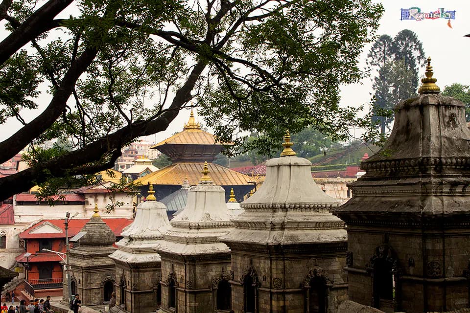 Pashupatinath Temple Kathmandu - Image 3