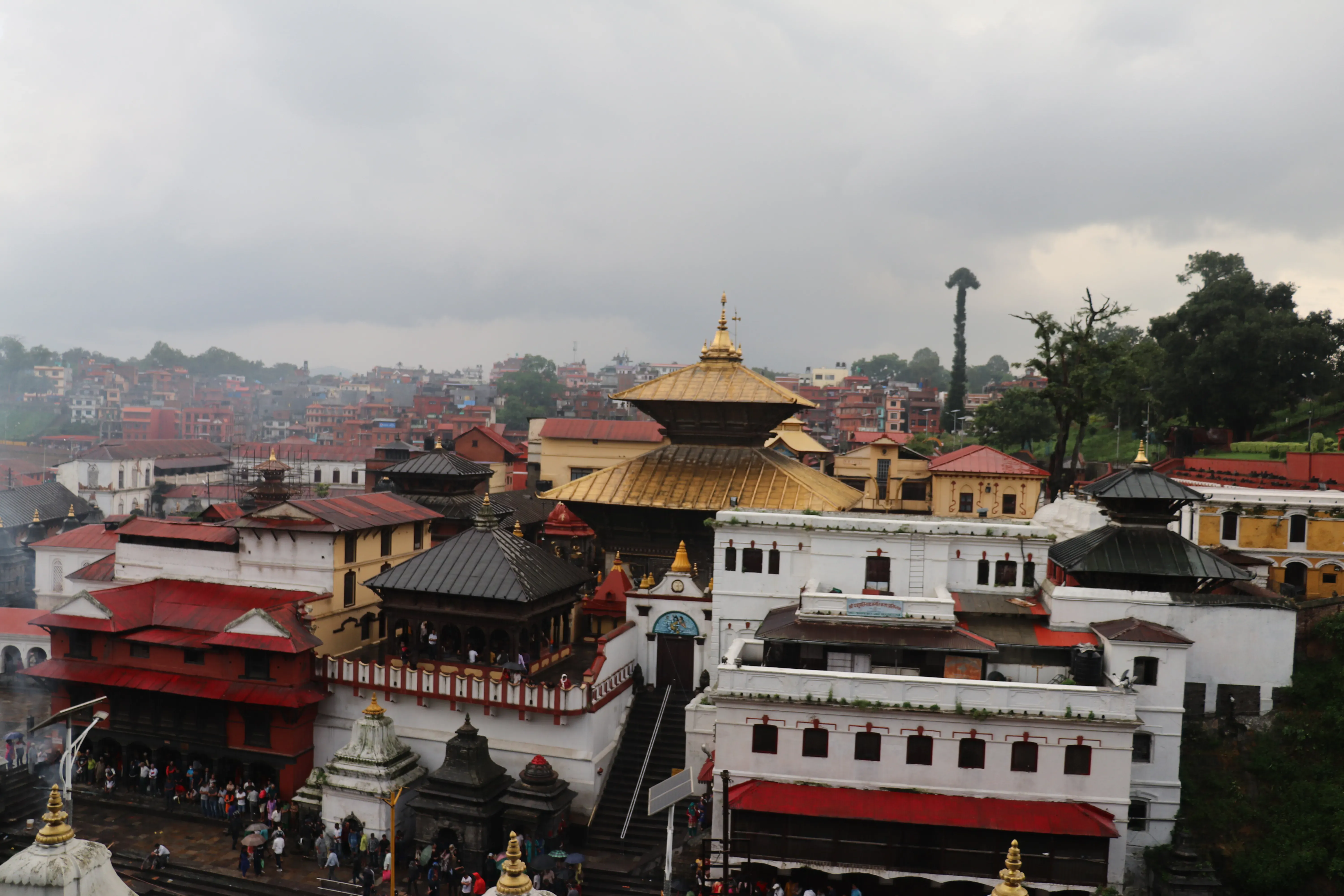Pashupatinath Temple Kathmandu - Image 14