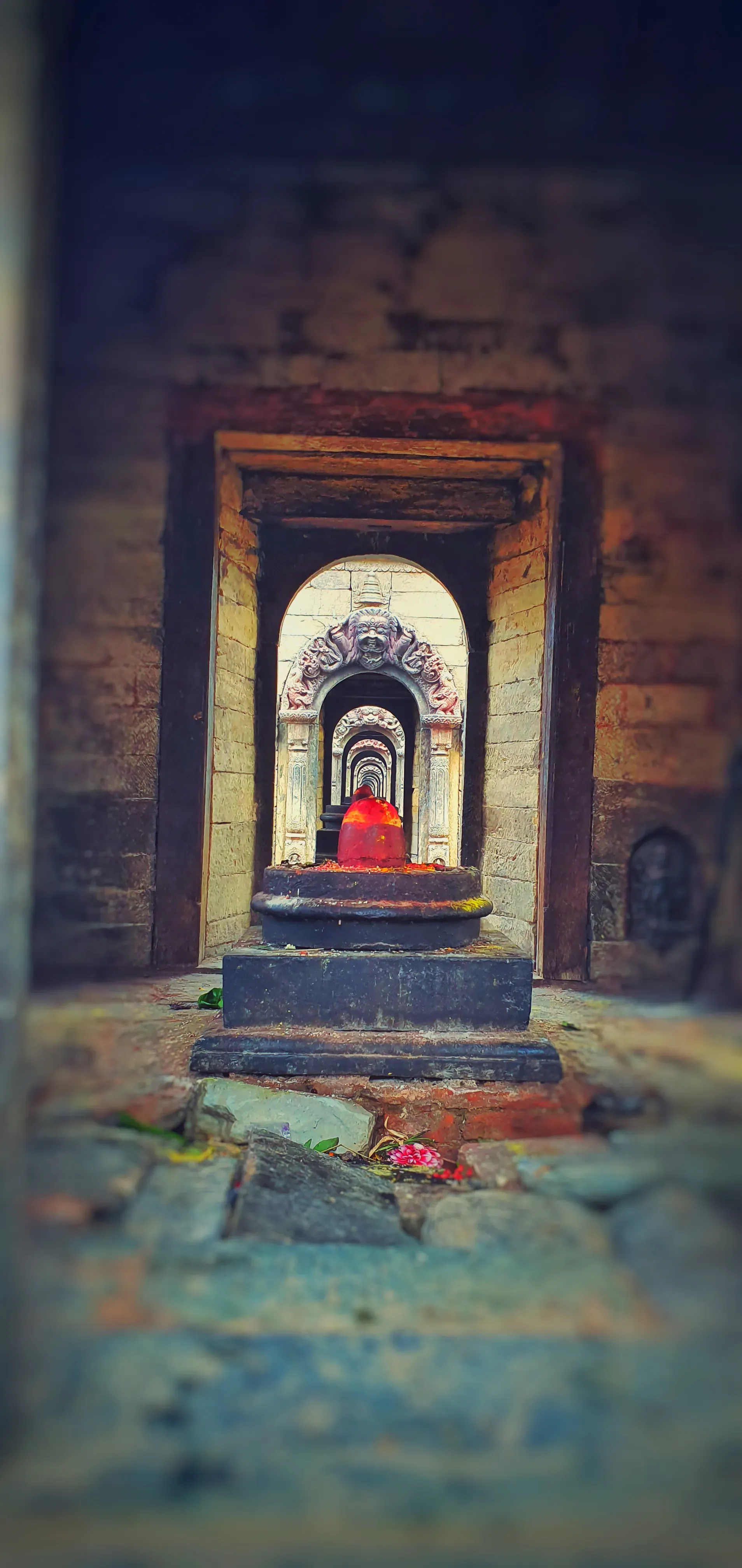 Pashupatinath Temple Kathmandu - Image 23