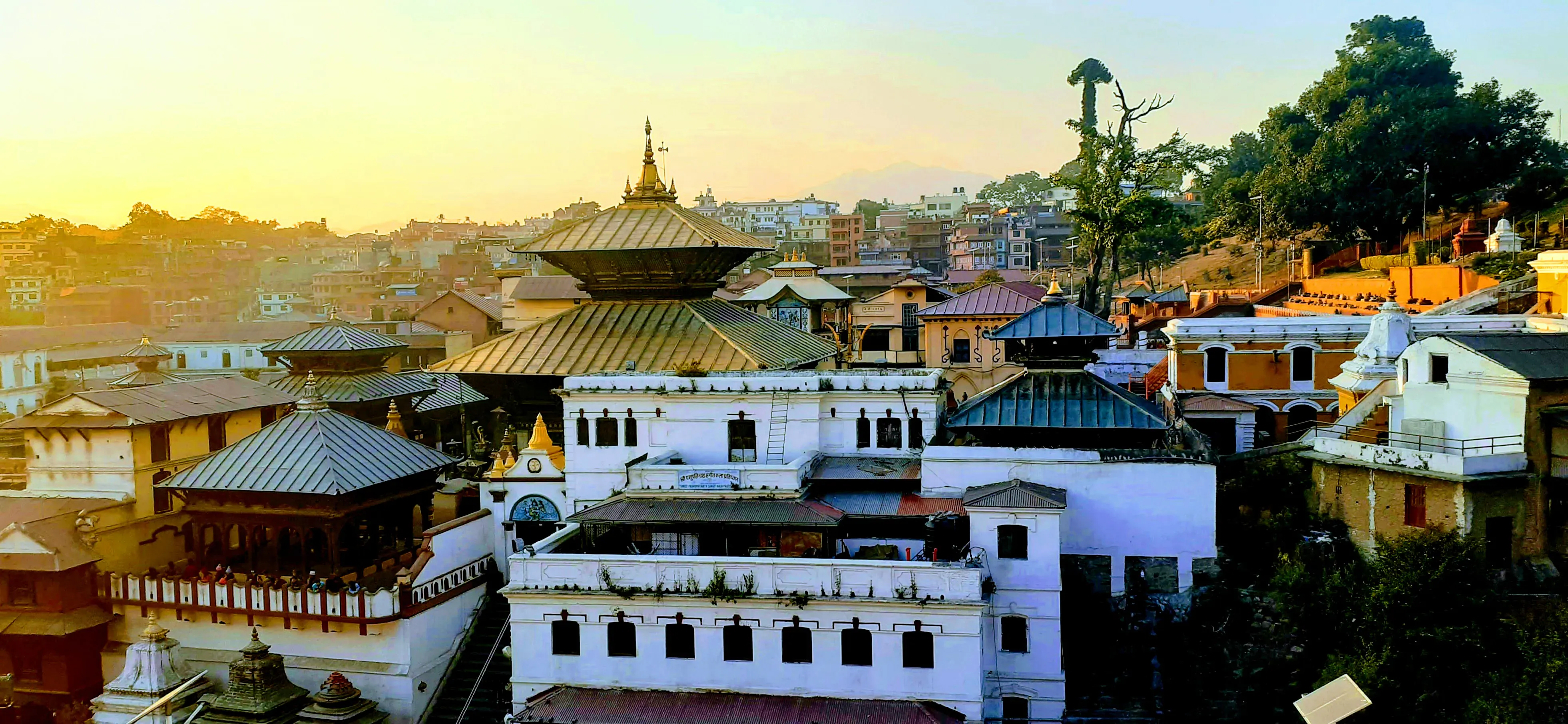 Pashupatinath Temple Kathmandu - Image 25
