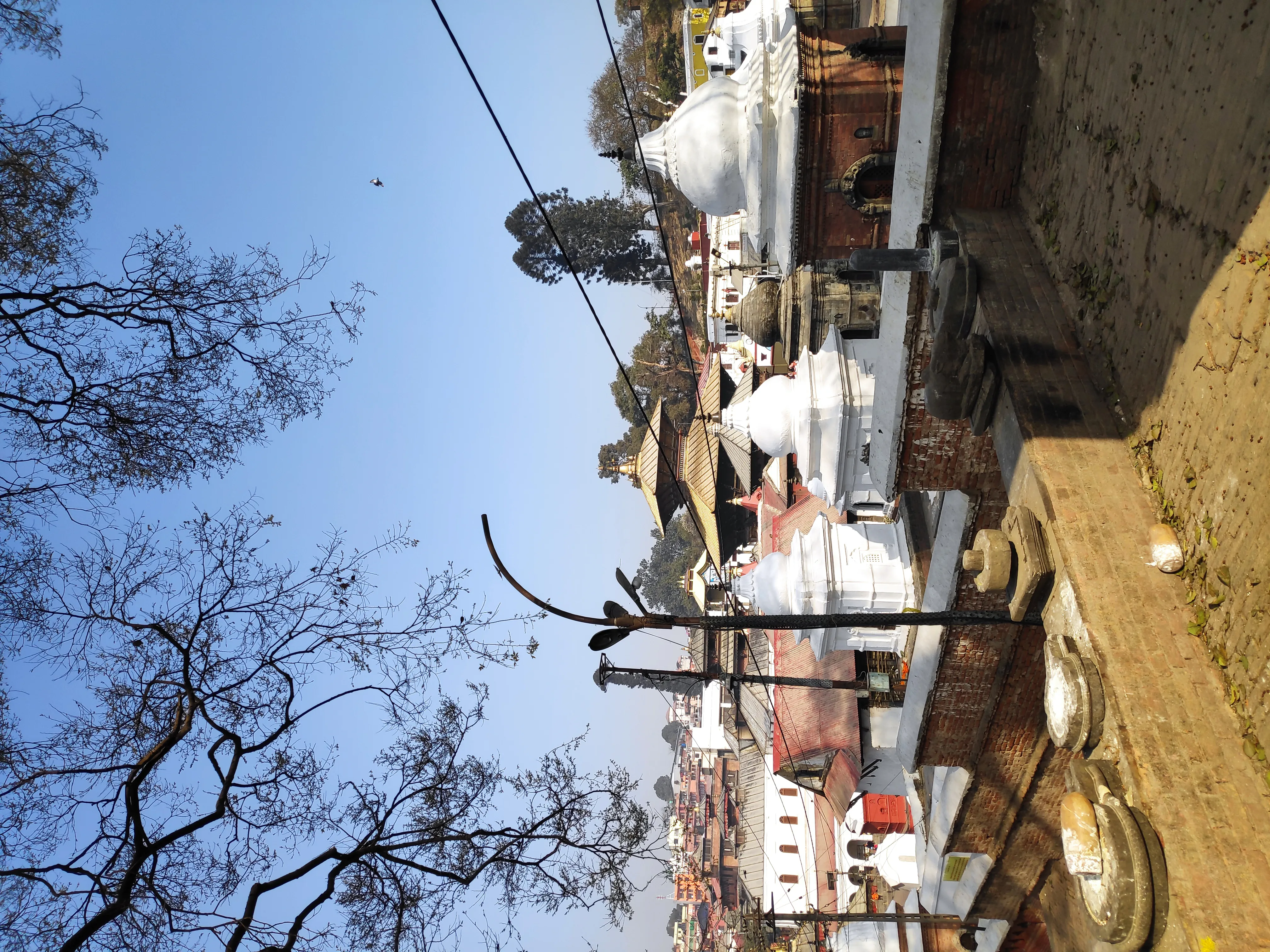 Pashupatinath Temple Kathmandu - Image 27