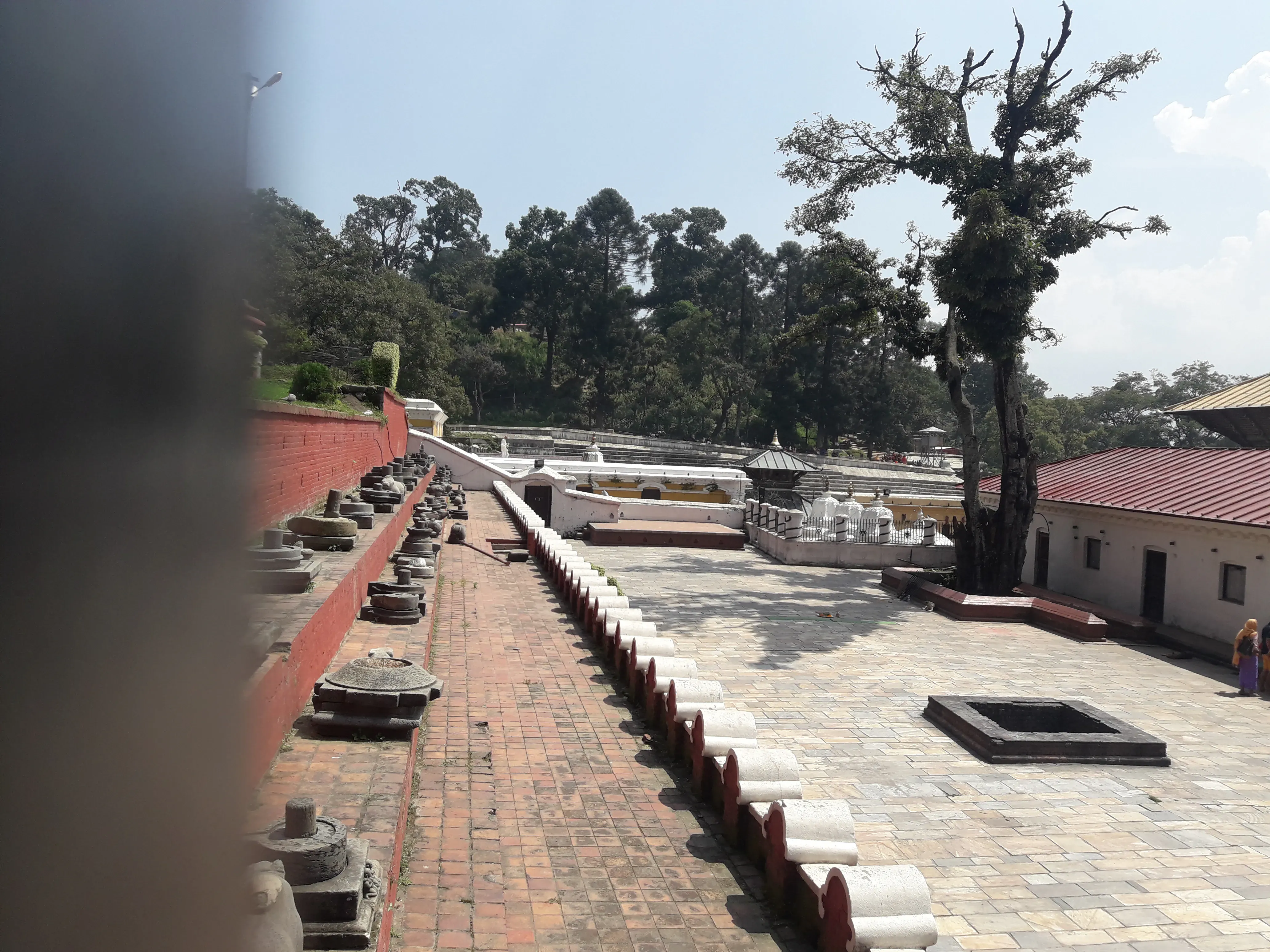 Pashupatinath Temple Kathmandu - Image 33