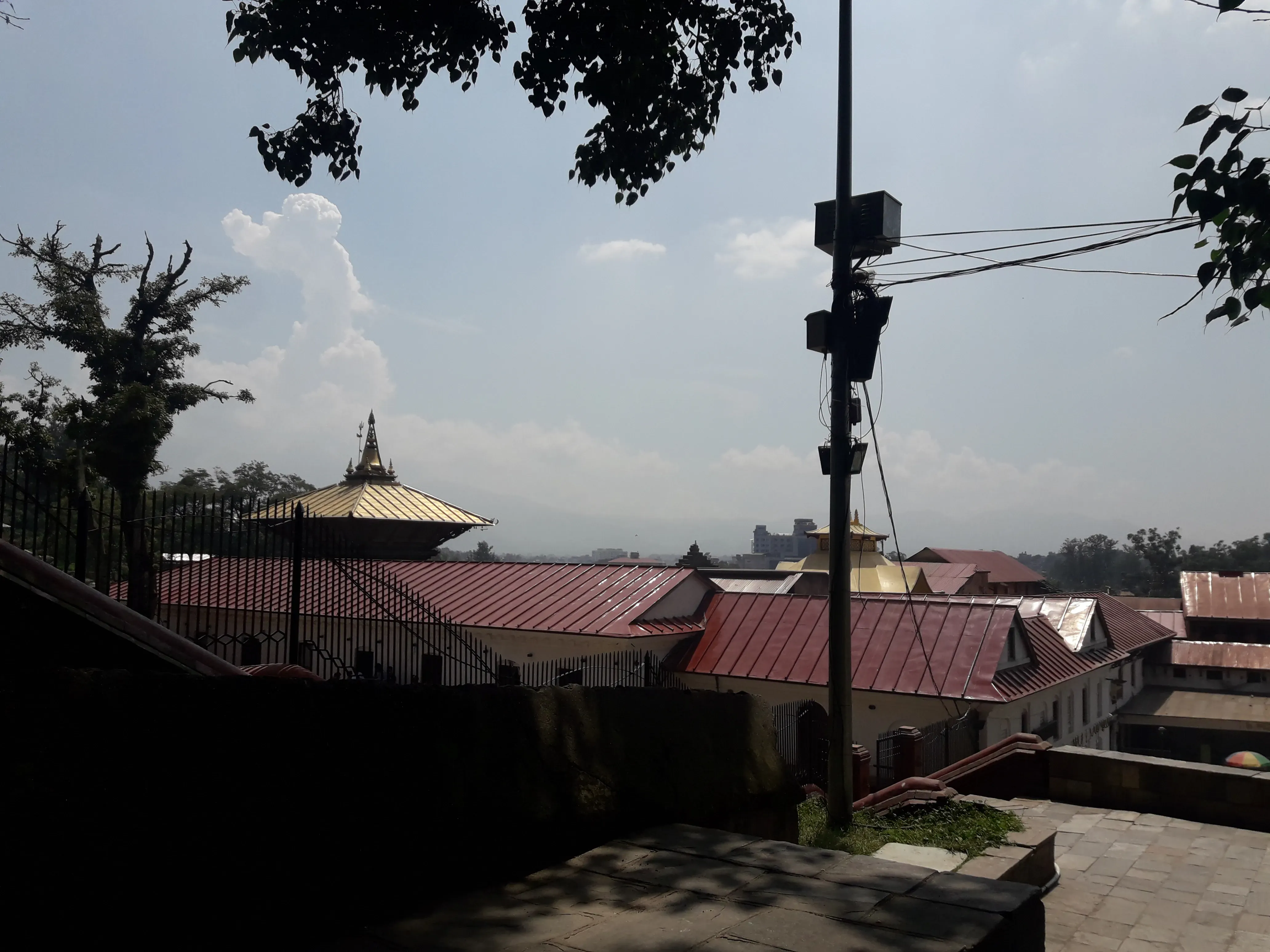 Pashupatinath Temple Kathmandu - Image 38