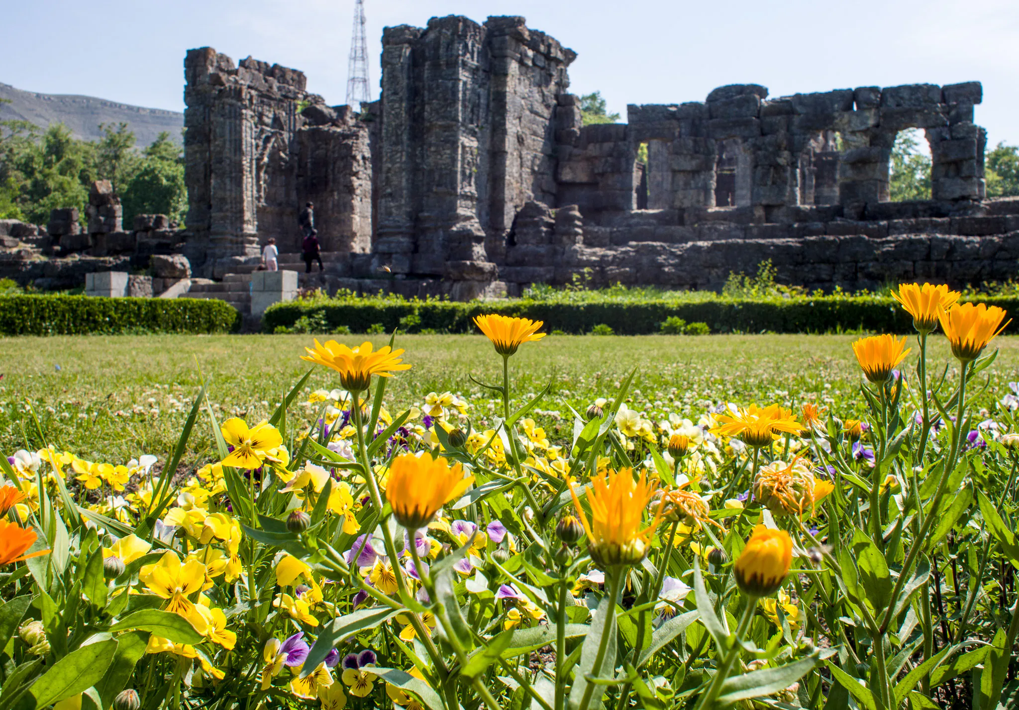 Martand Sun Temple Anantnag - Image 25