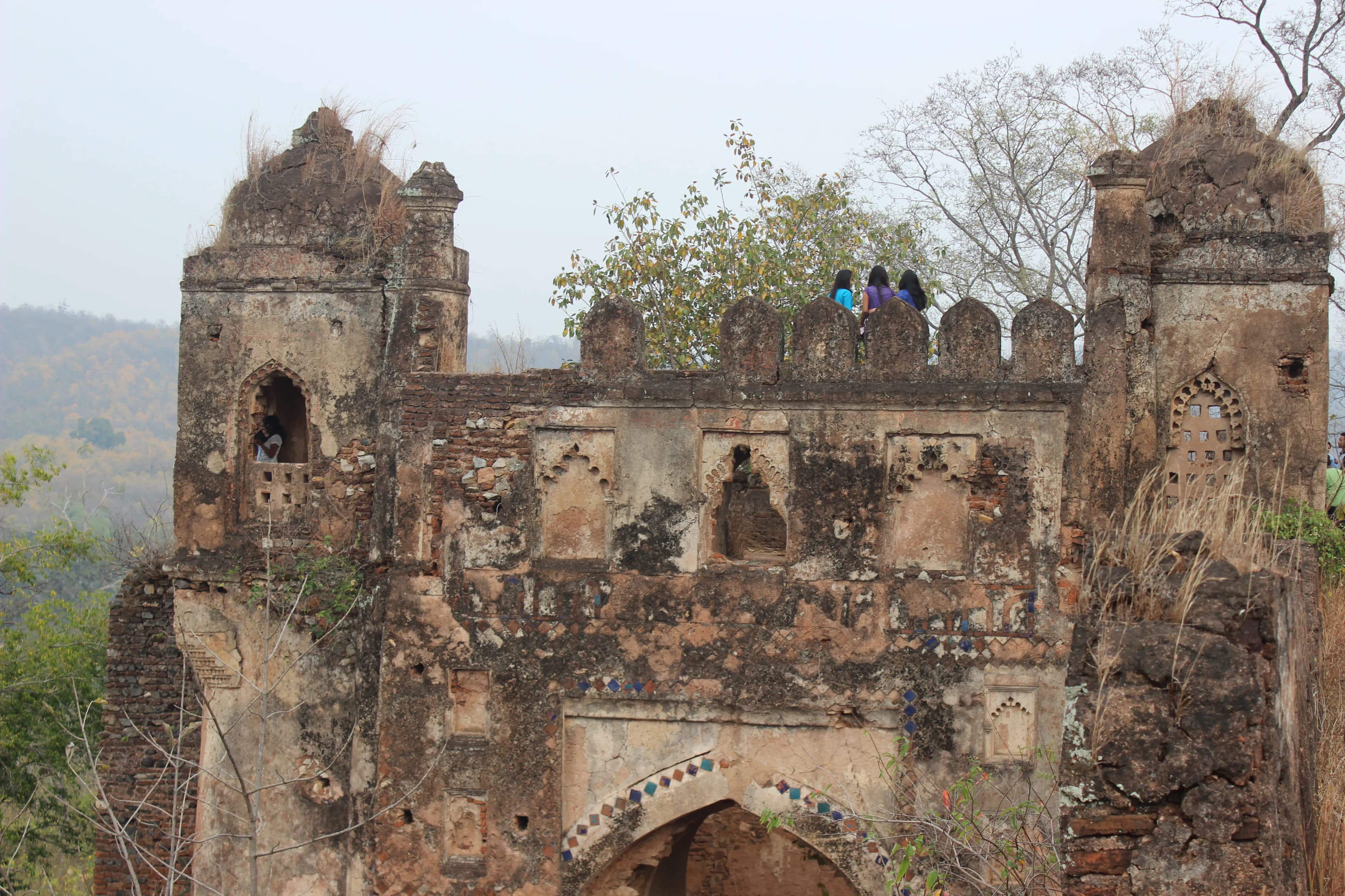 Preserve Palamu Fort Latehar Heritage Site - Image 4