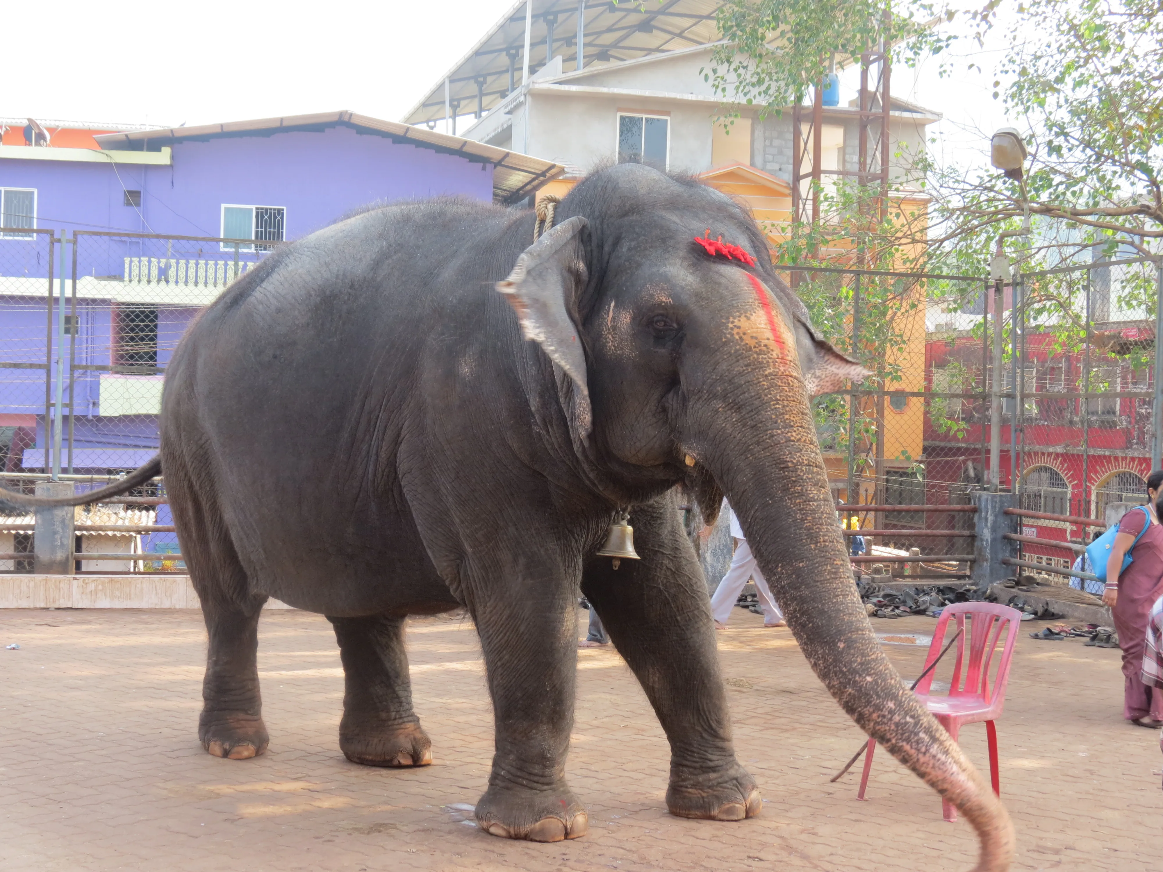 Kollur Mookambika Temple Udupi - Image 9