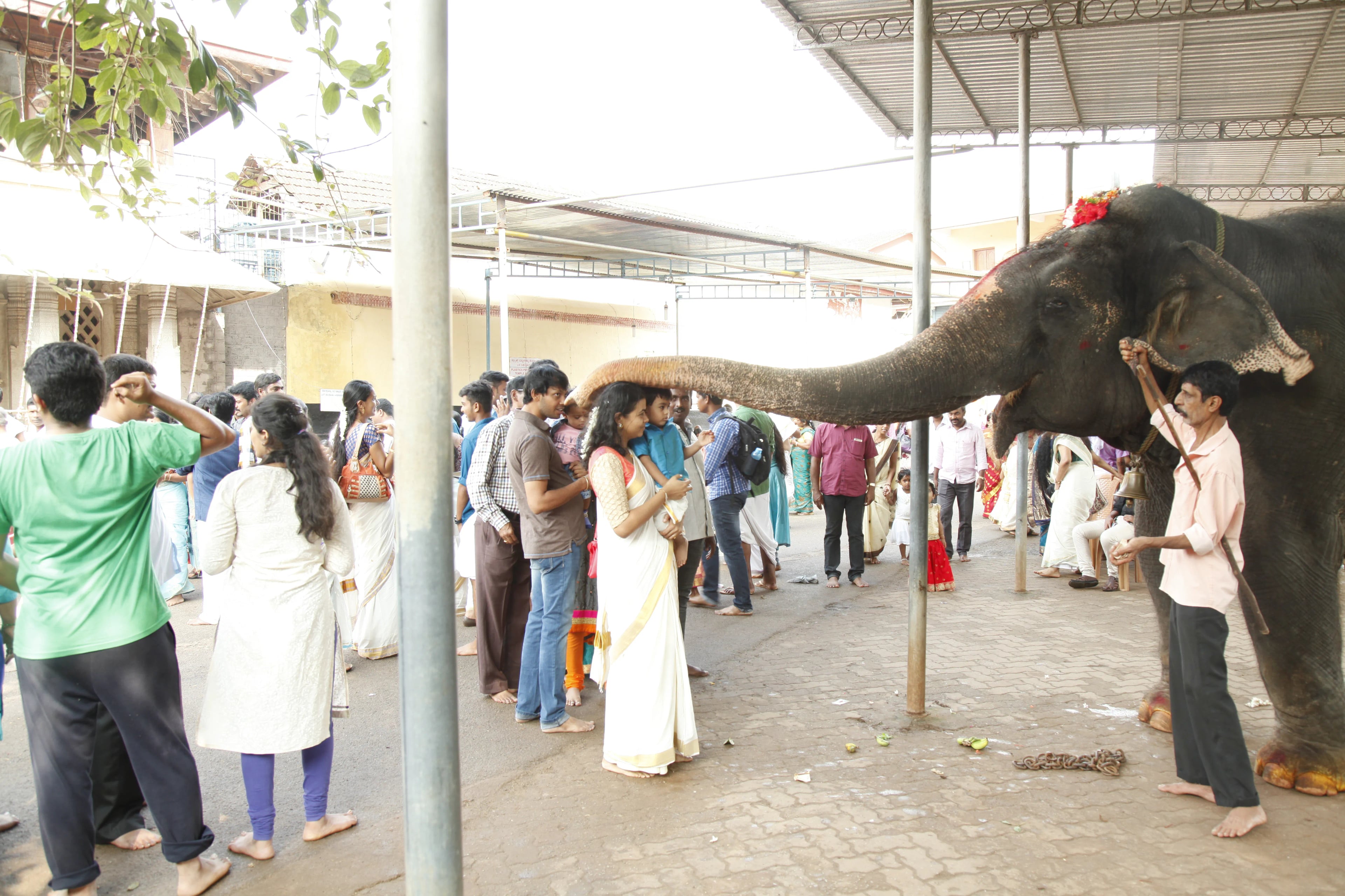 Kollur Mookambika Temple Udupi - Image 12