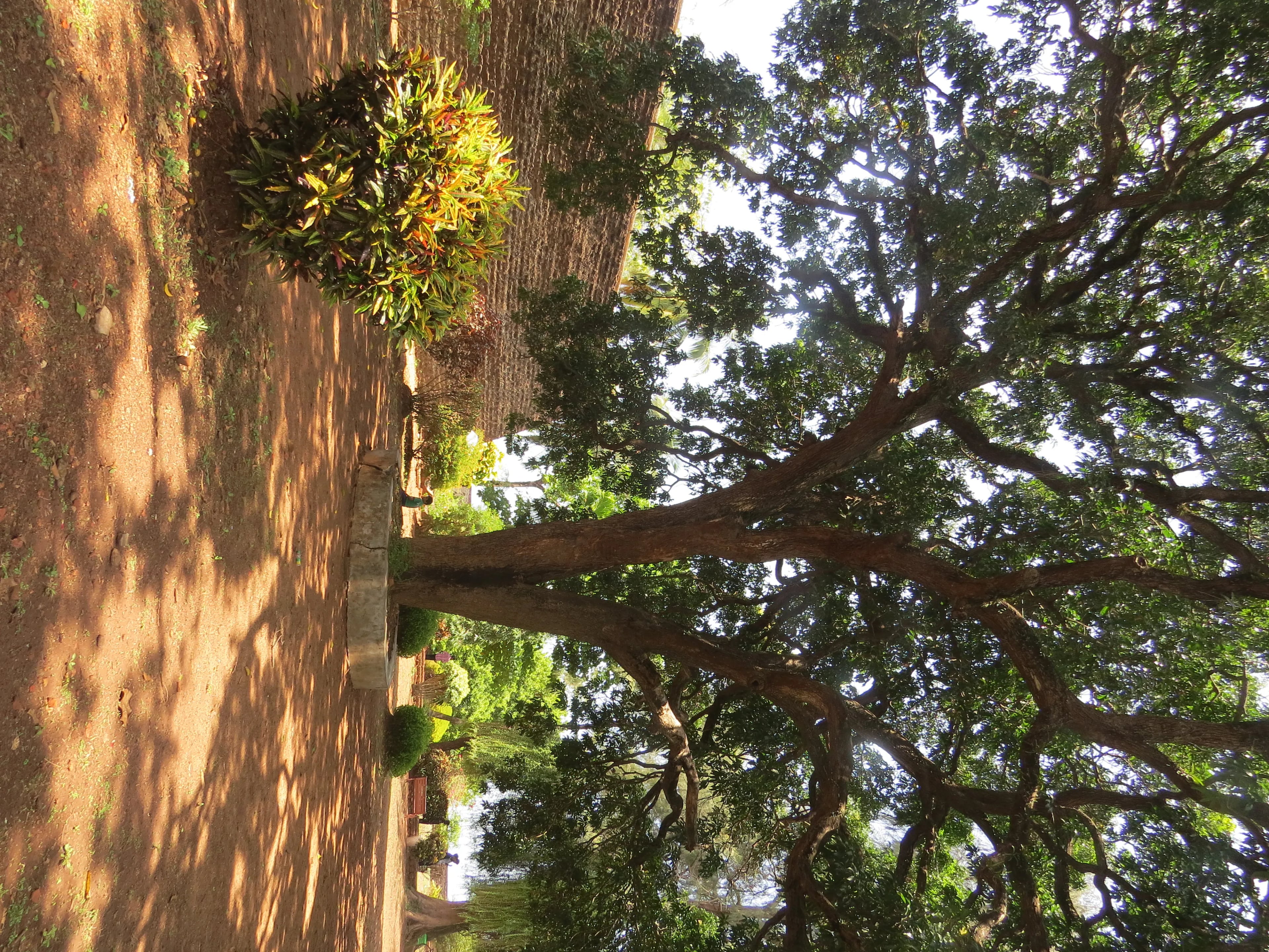 St. Angelo Fort Kannur - Image 22
