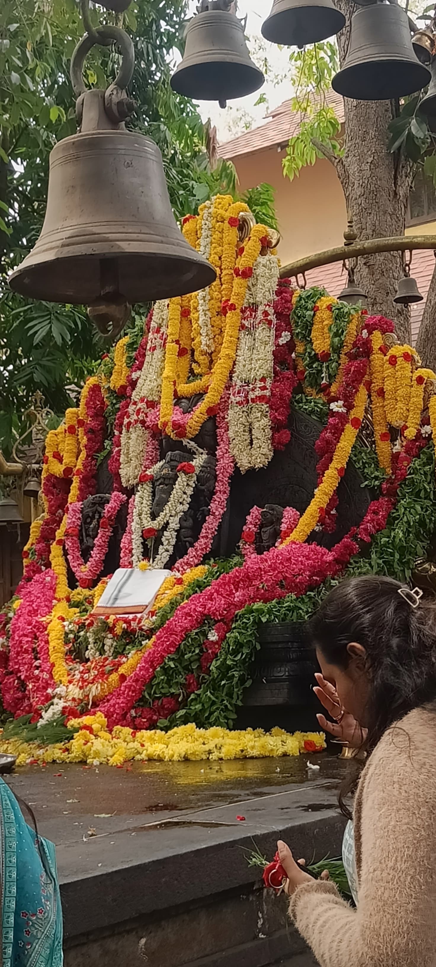 Volunteer at Shree Ganesha Temple Mount Edgecombe