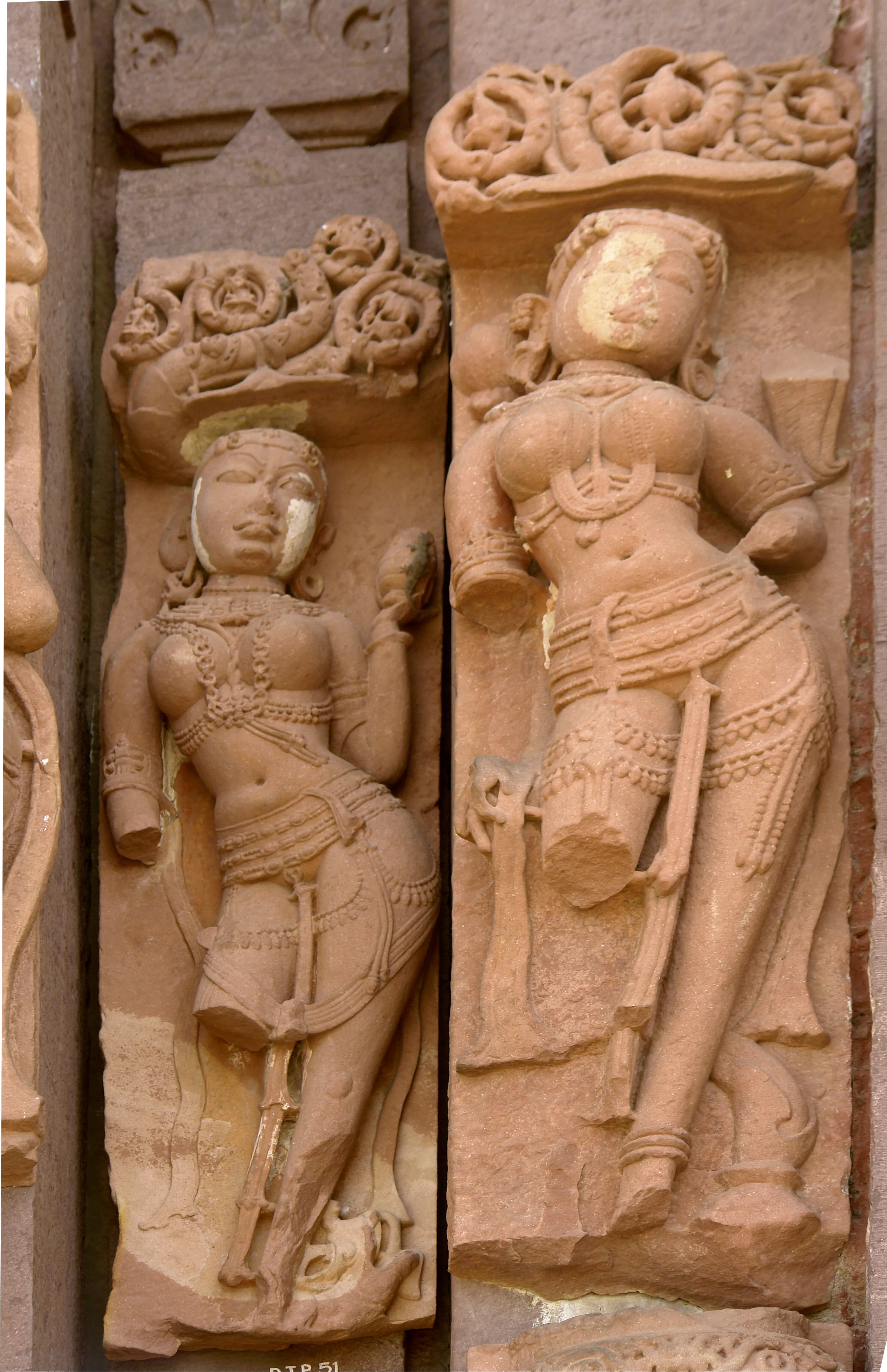 Bhojeshwar Temple Bhojpur - Image 6