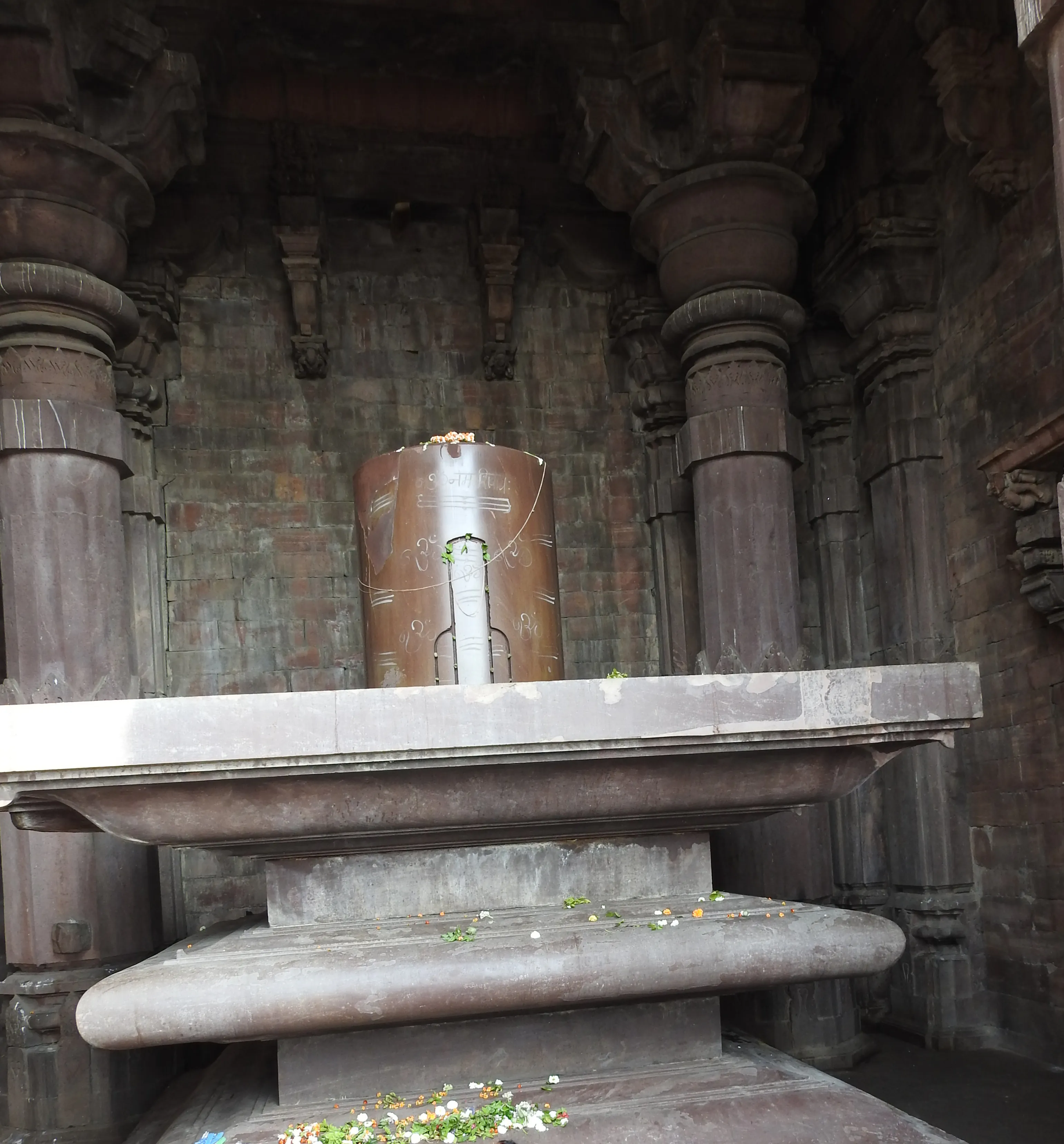 Bhojeshwar Temple Bhojpur - Image 12