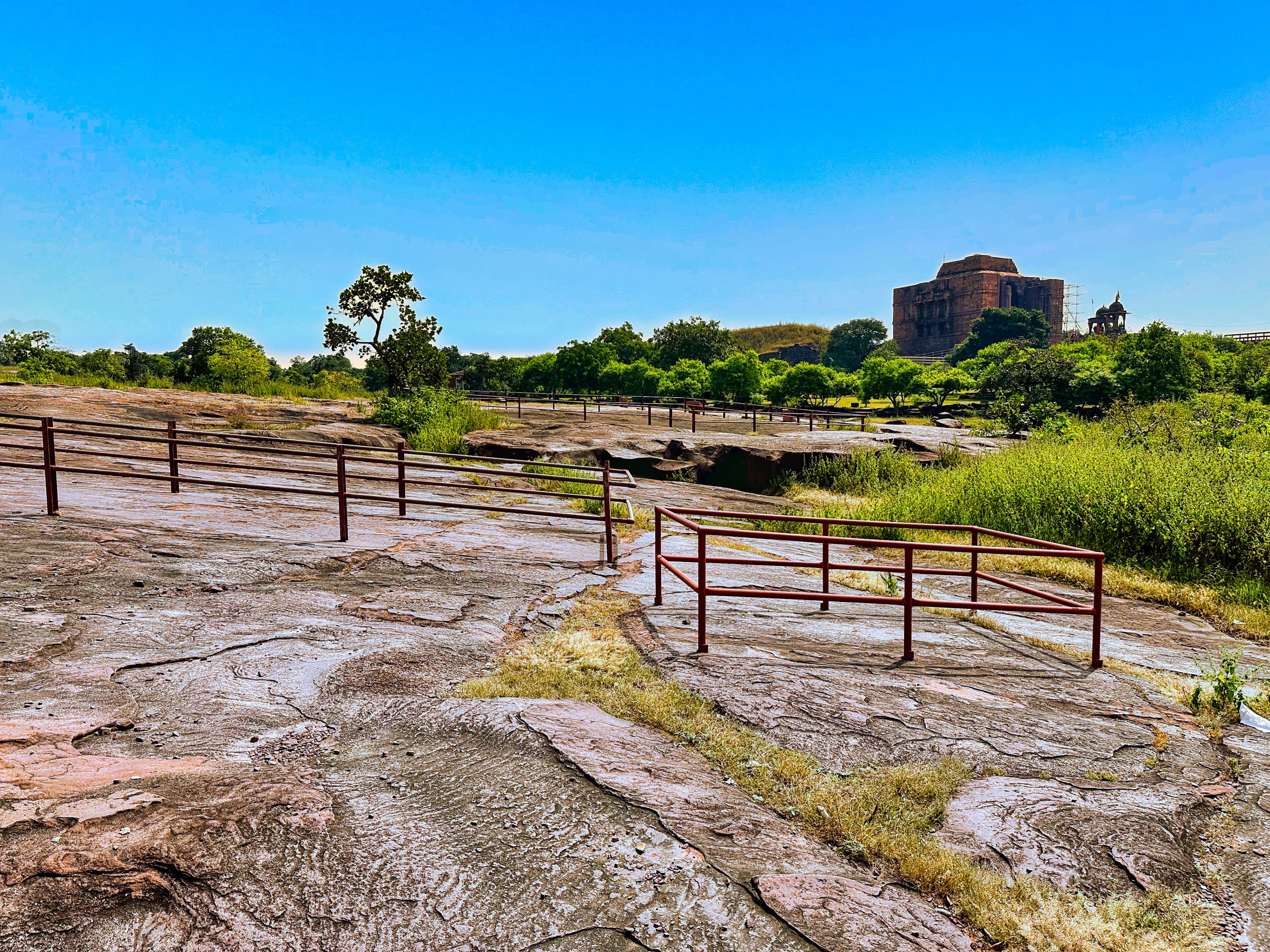 Bhojeshwar Temple Bhojpur - Image 15