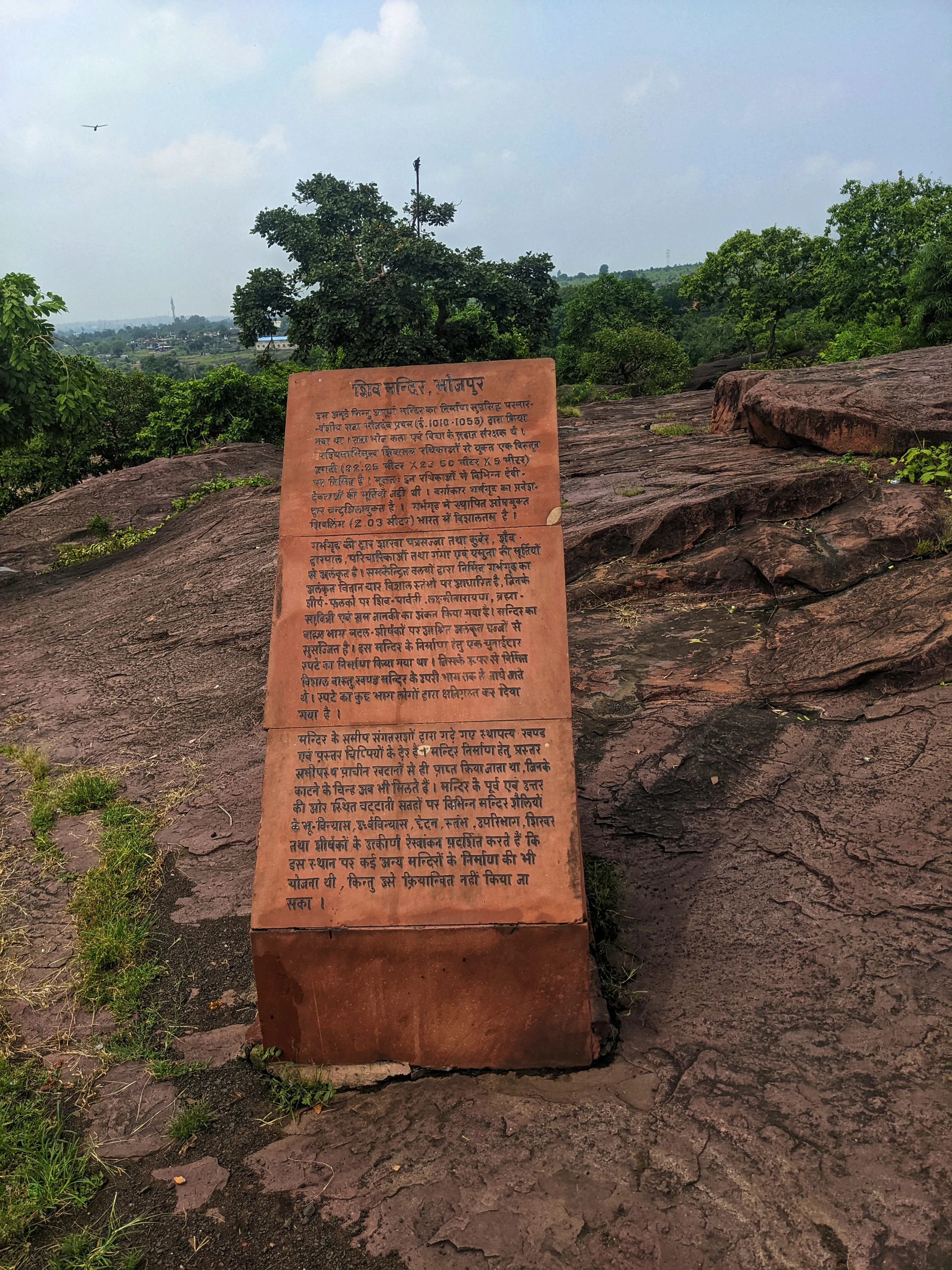Bhojeshwar Temple Bhojpur - Image 17