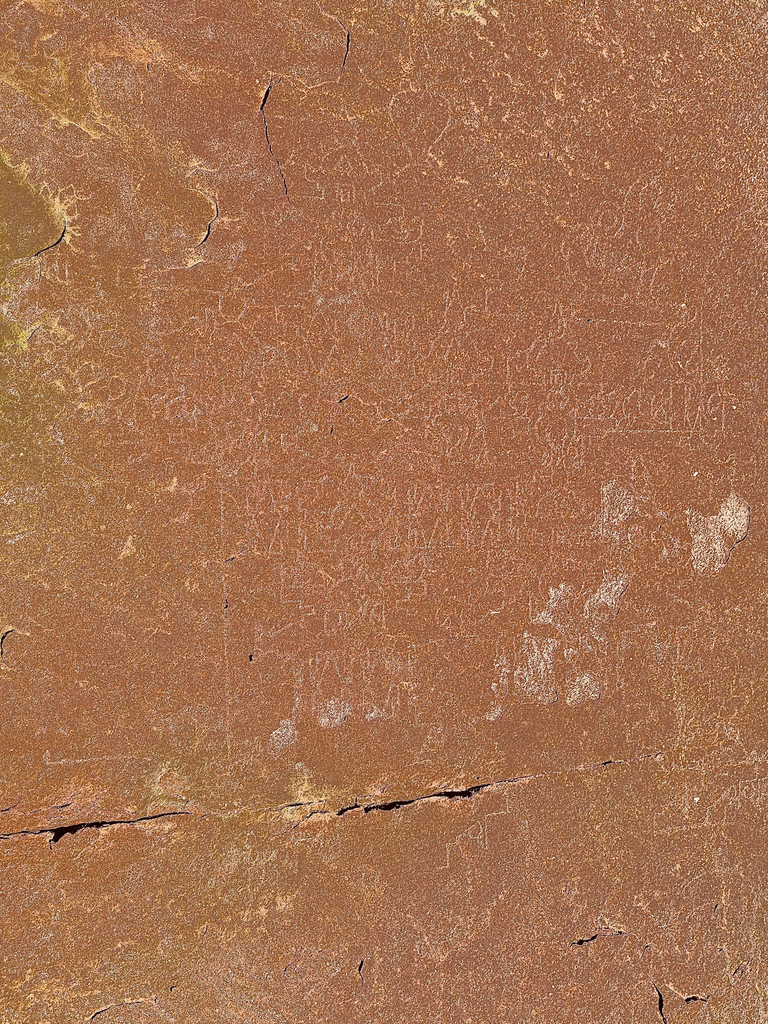 Bhojeshwar Temple Bhojpur - Image 19