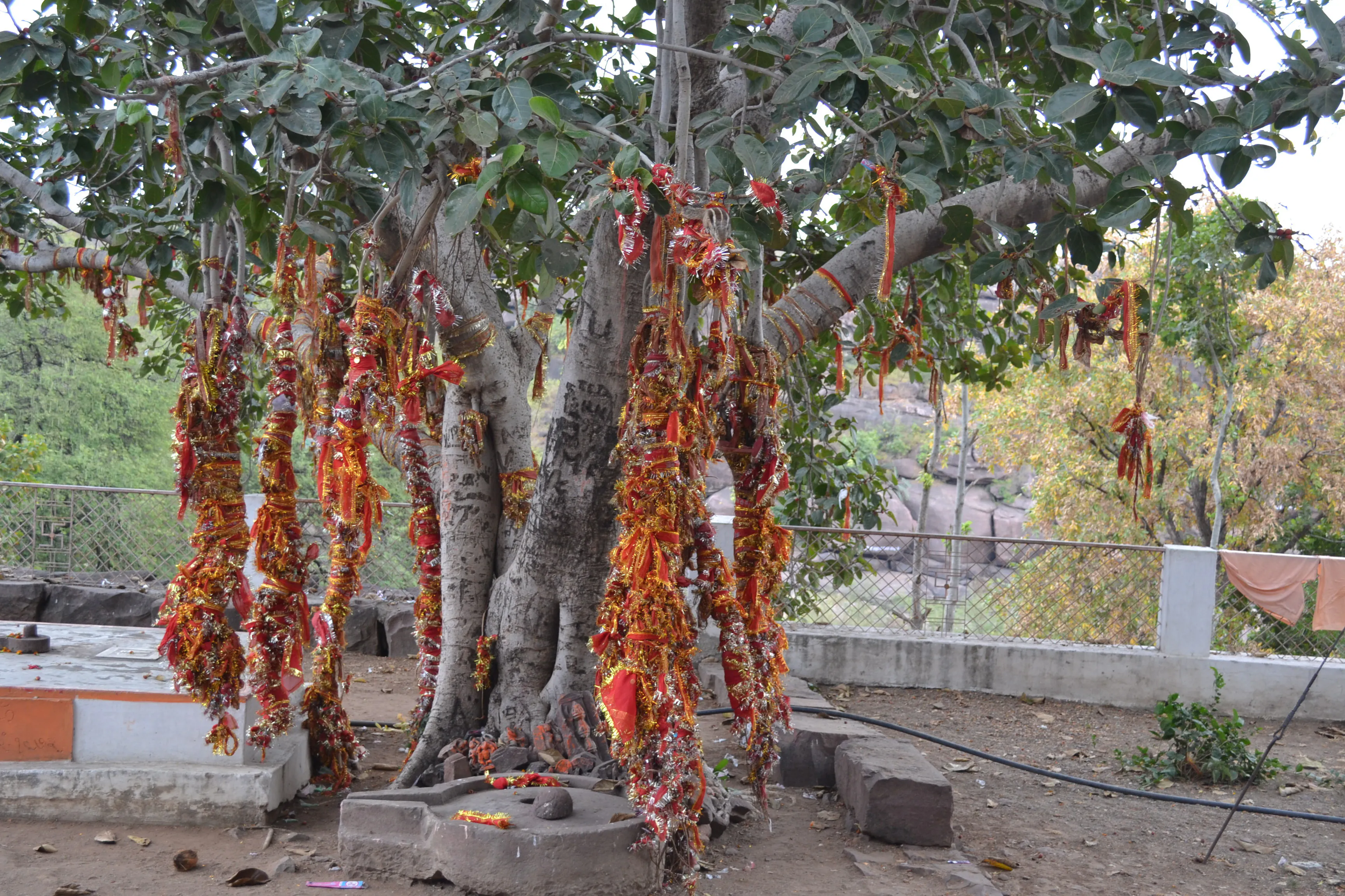 Bhojeshwar Temple Bhojpur - Image 25