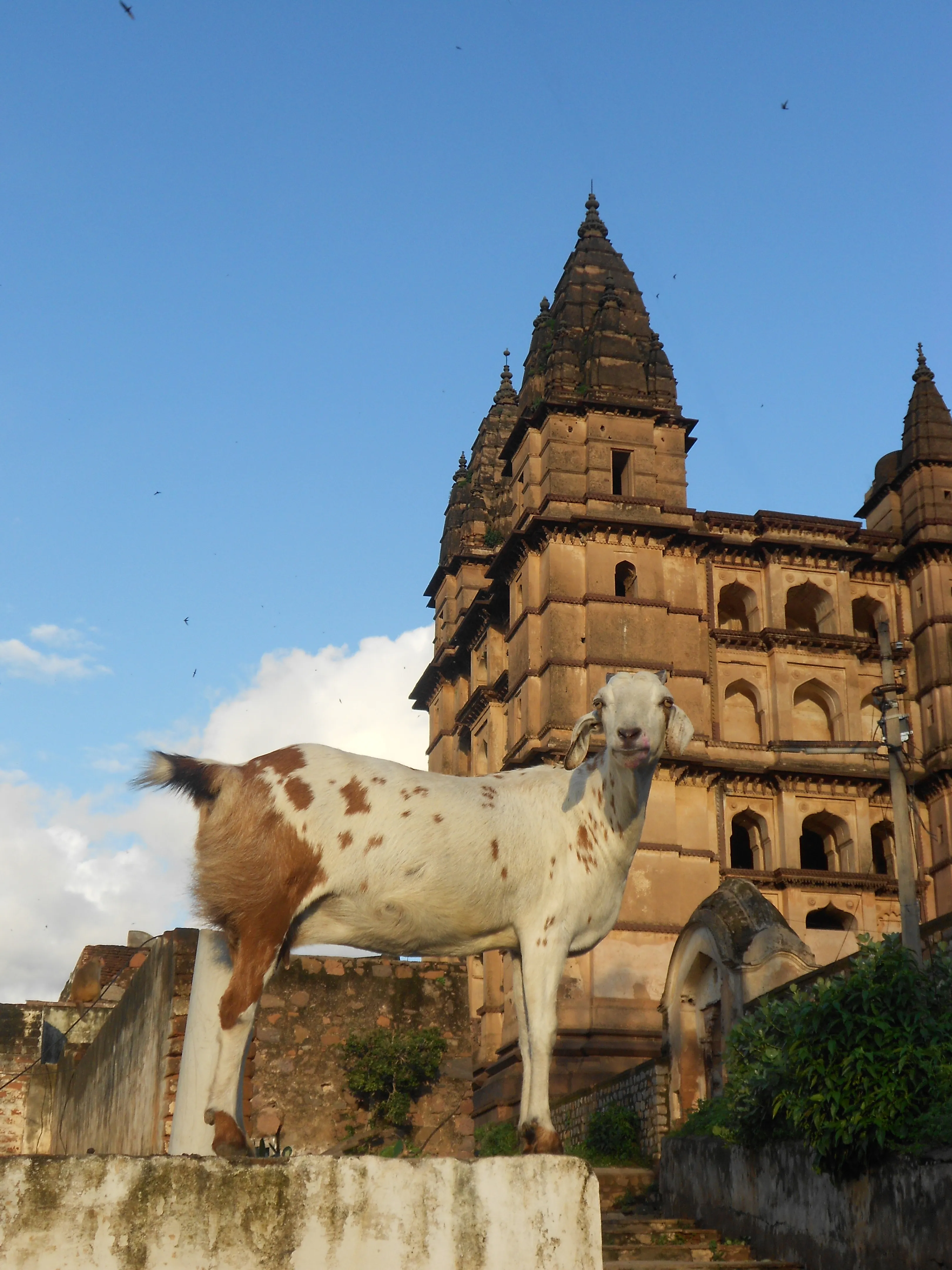 Chaturbhuj Temple Orchha - Image 22