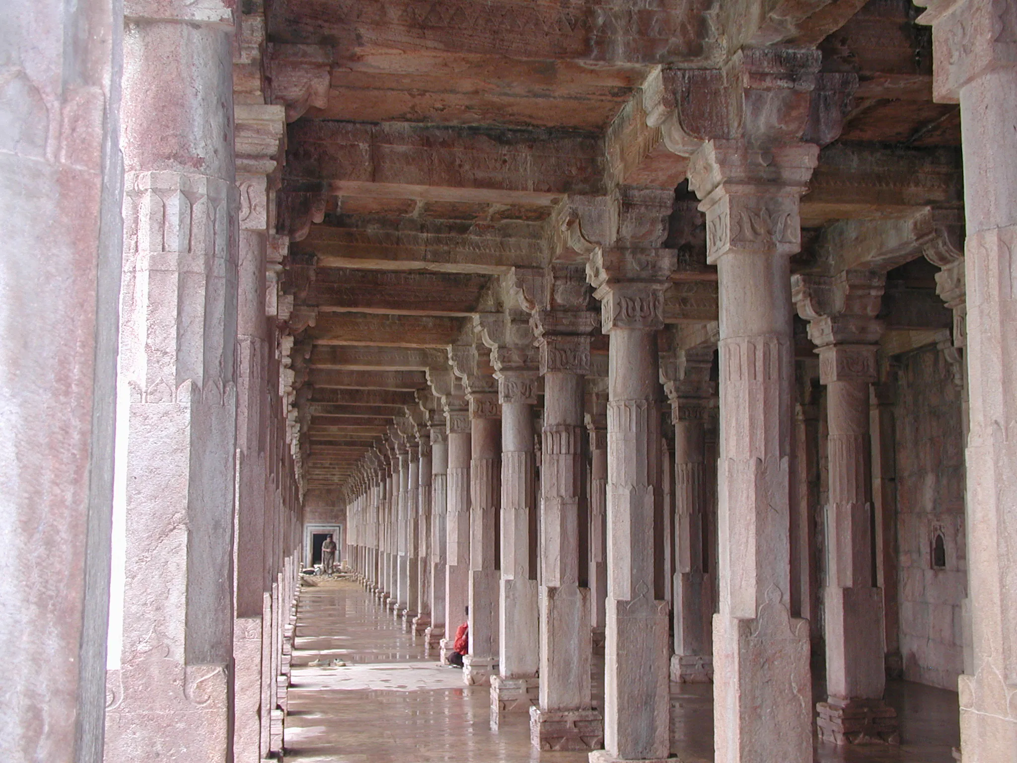 Mandu Fort Mandu - Image 12