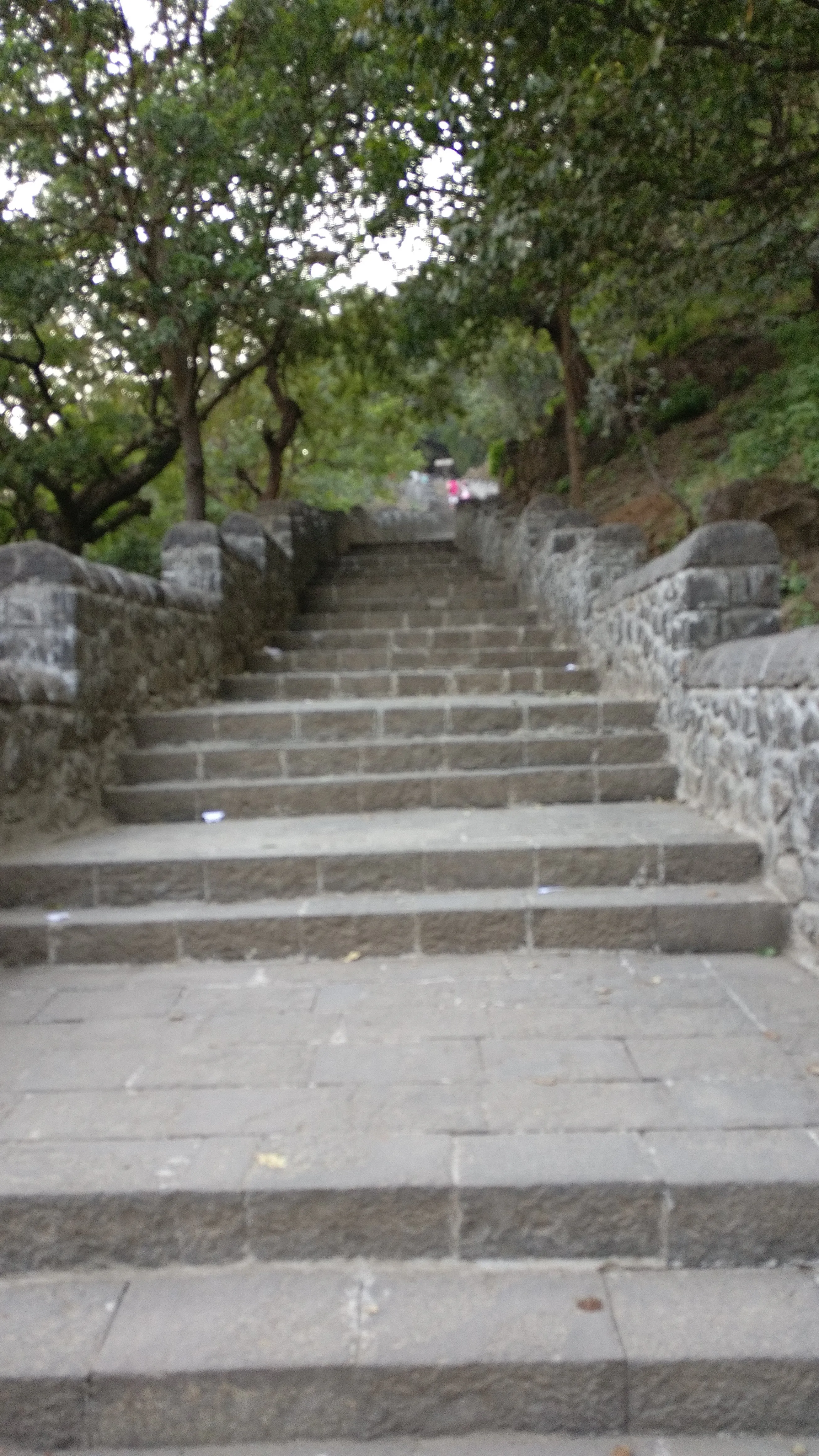 Lohagad Fort Lonavala - Image 34