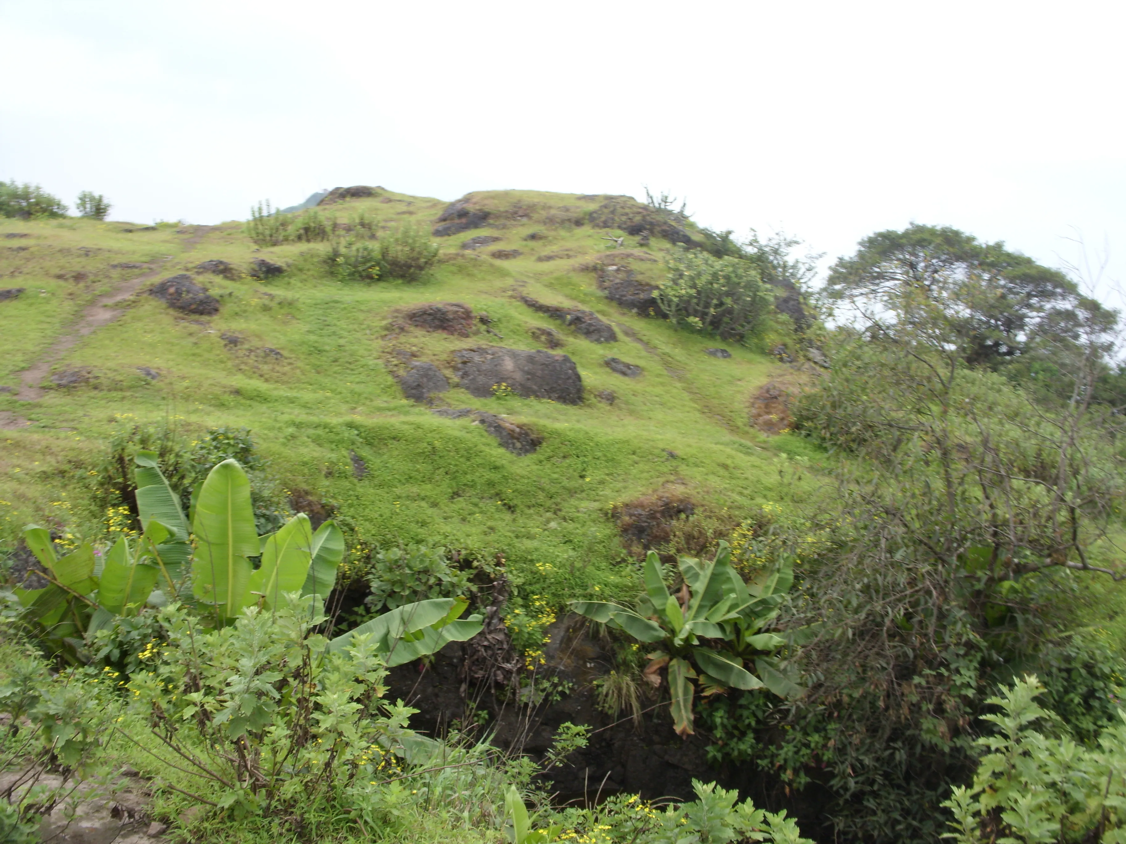 Purandar Fort Pune - Image 8