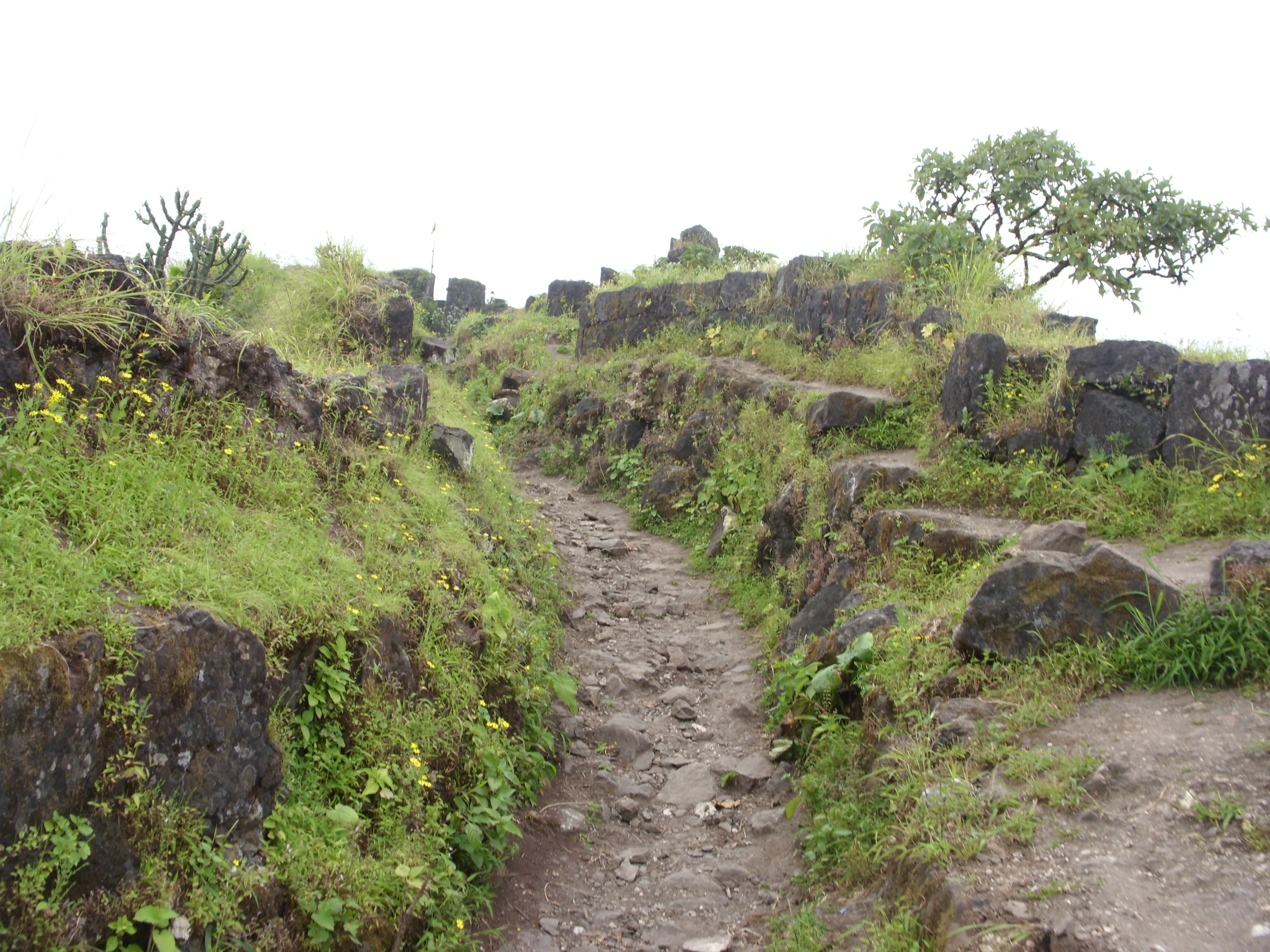 Purandar Fort Pune - Image 16