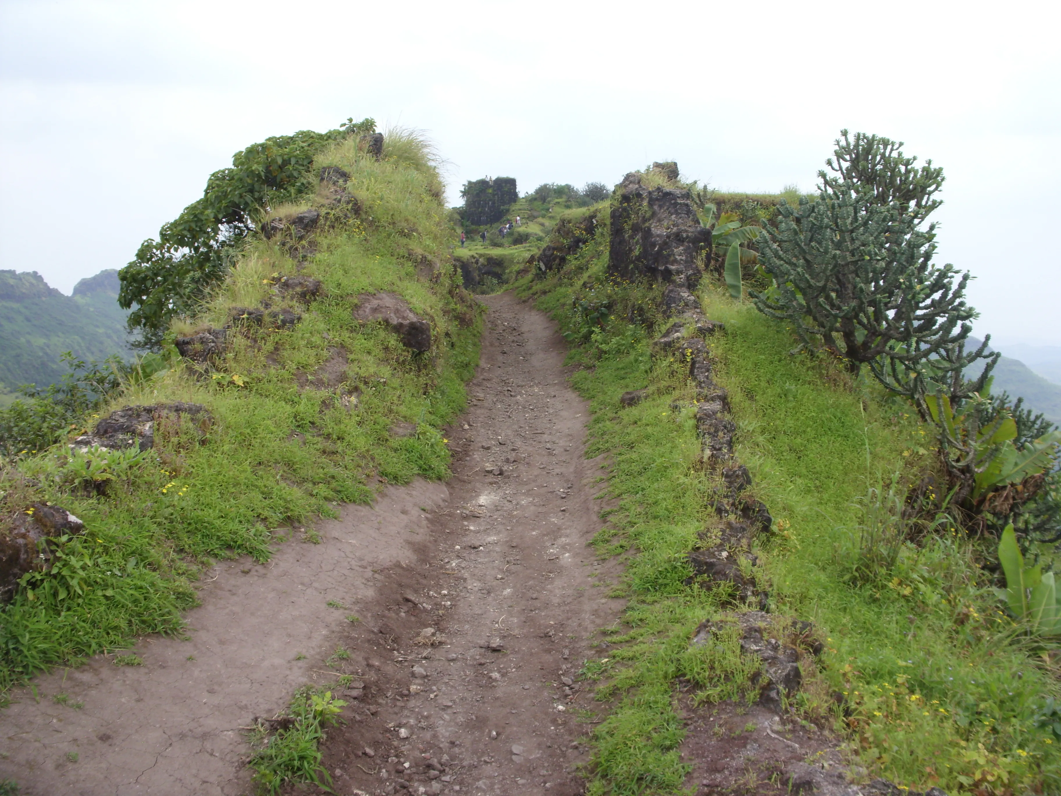 Purandar Fort Pune - Image 18