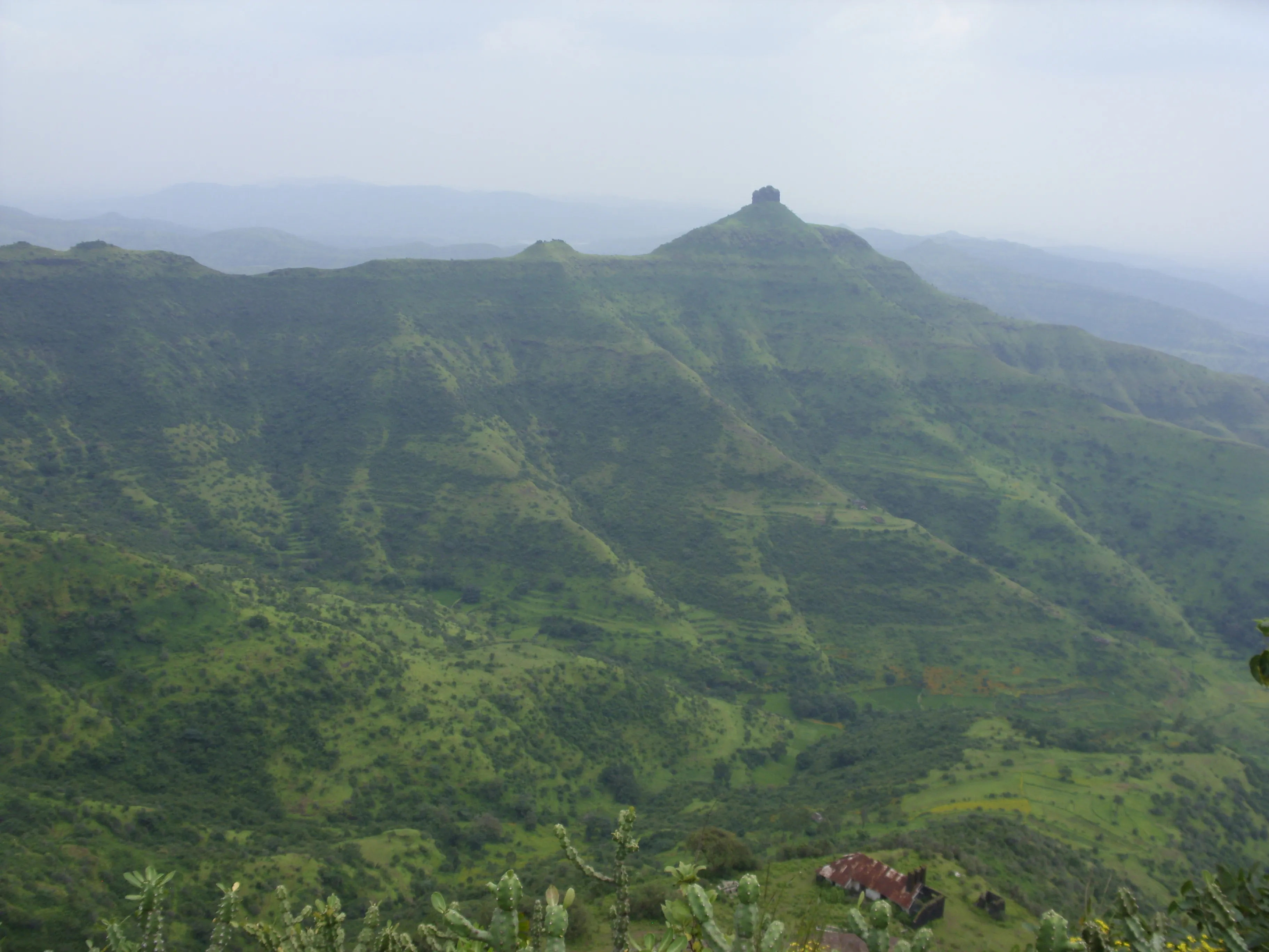 Purandar Fort Pune - Image 22