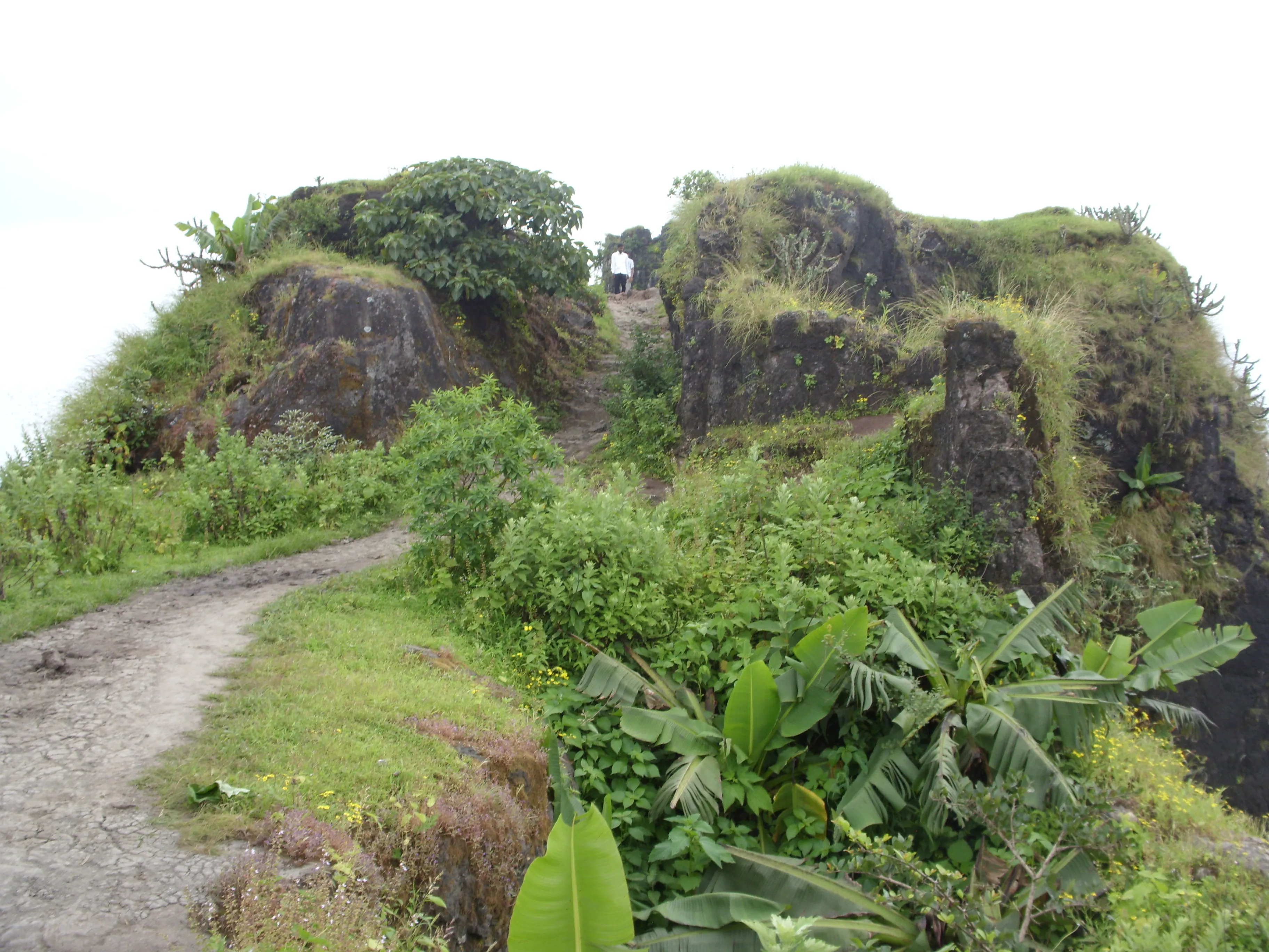 Purandar Fort Pune - Image 23