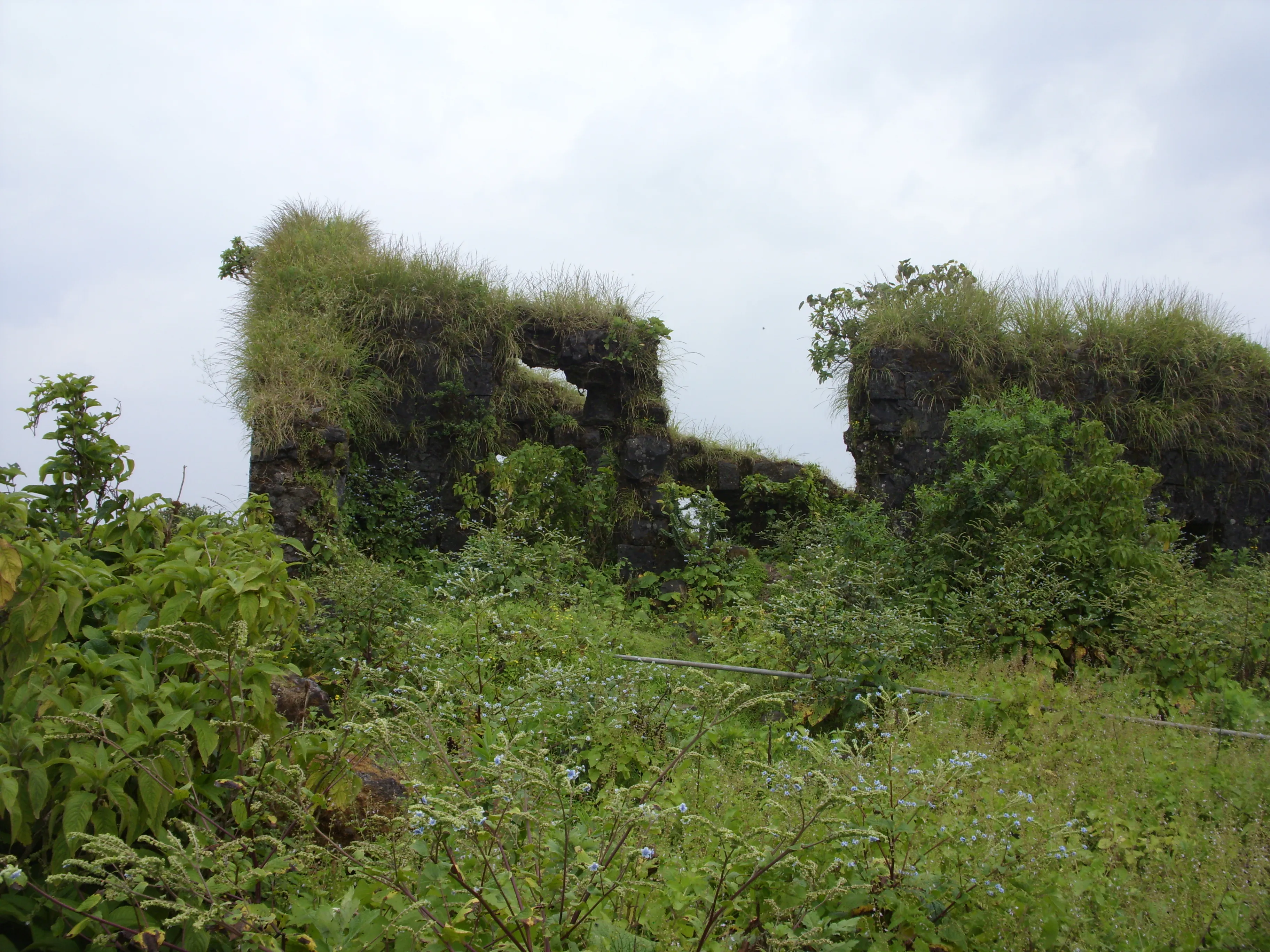 Purandar Fort Pune - Image 24